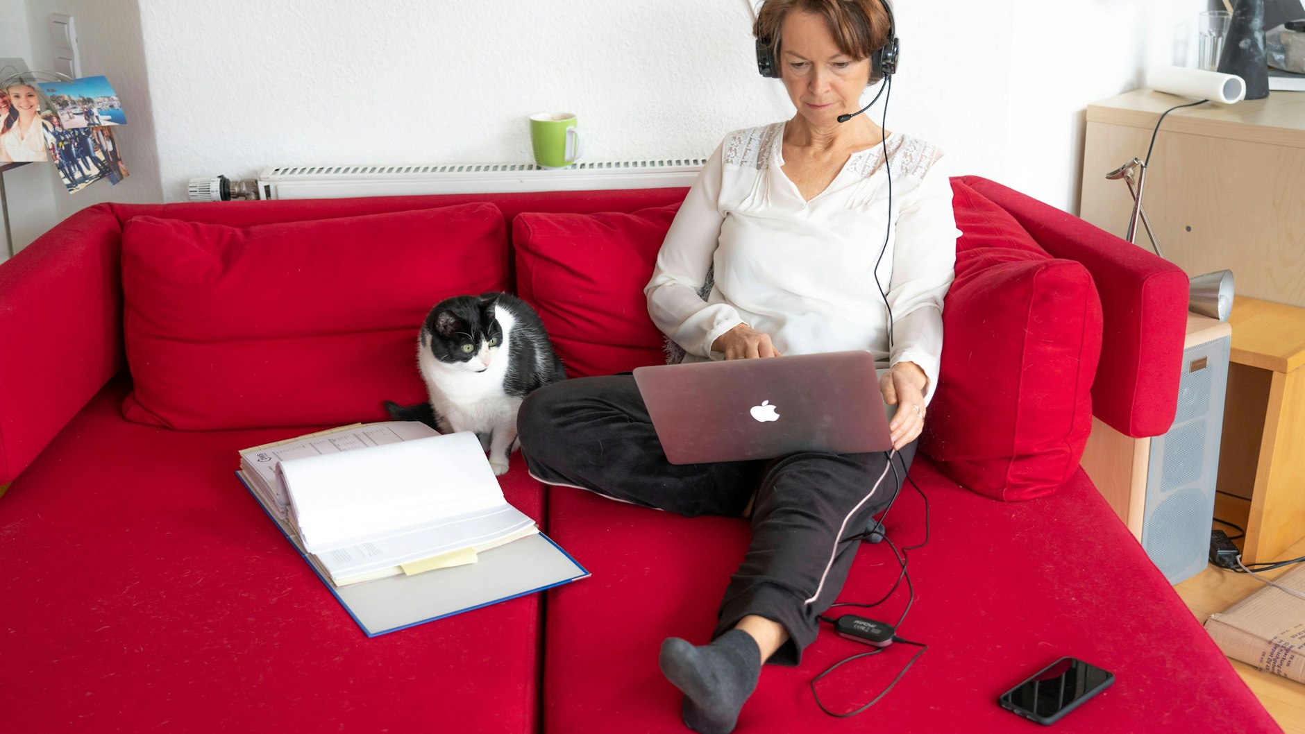 Diese Katze leistet im Homeoffice Gesellschaft.