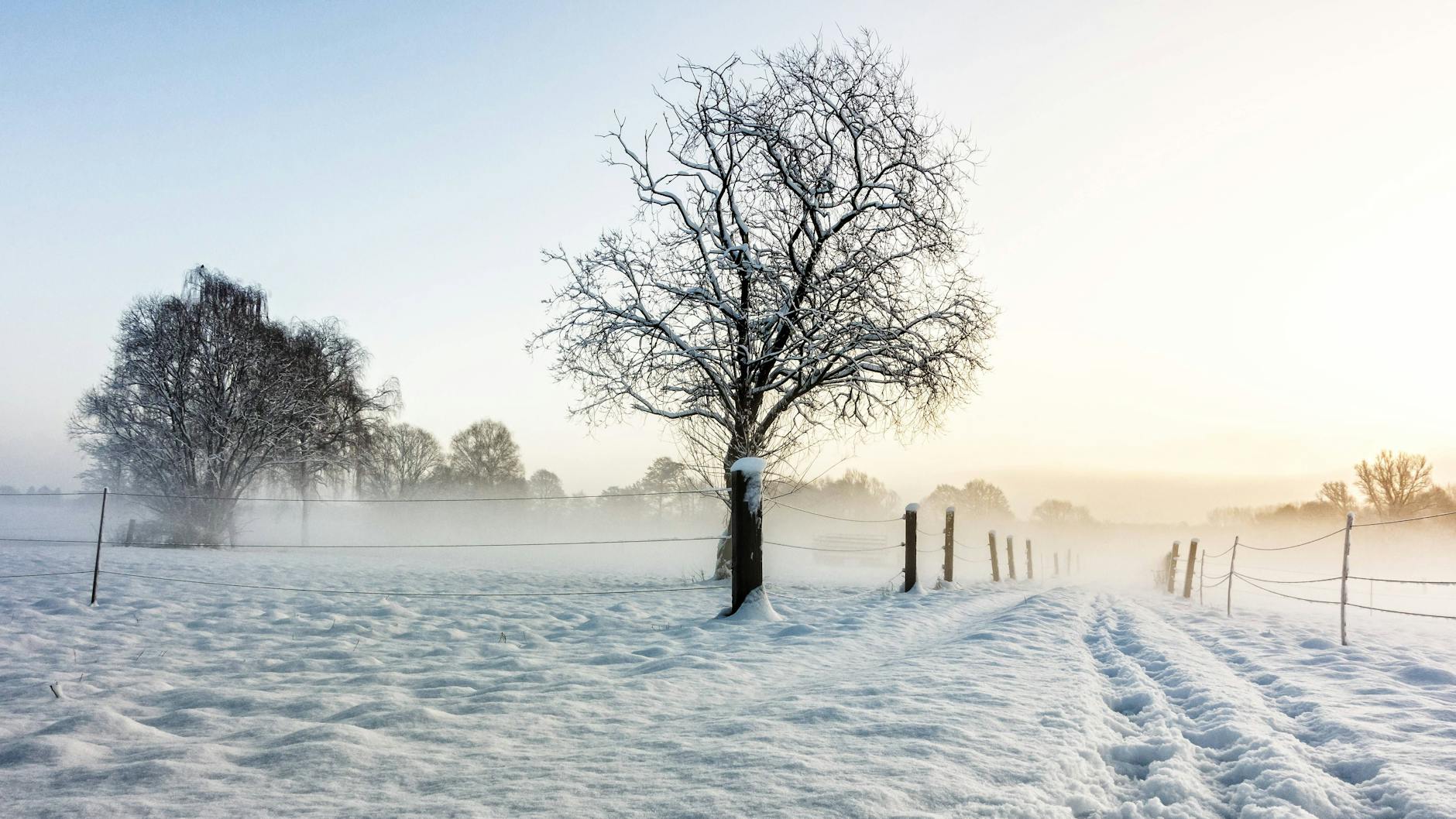 Für das Wochenende können wir auf schönes Winterwetter hoffen. 