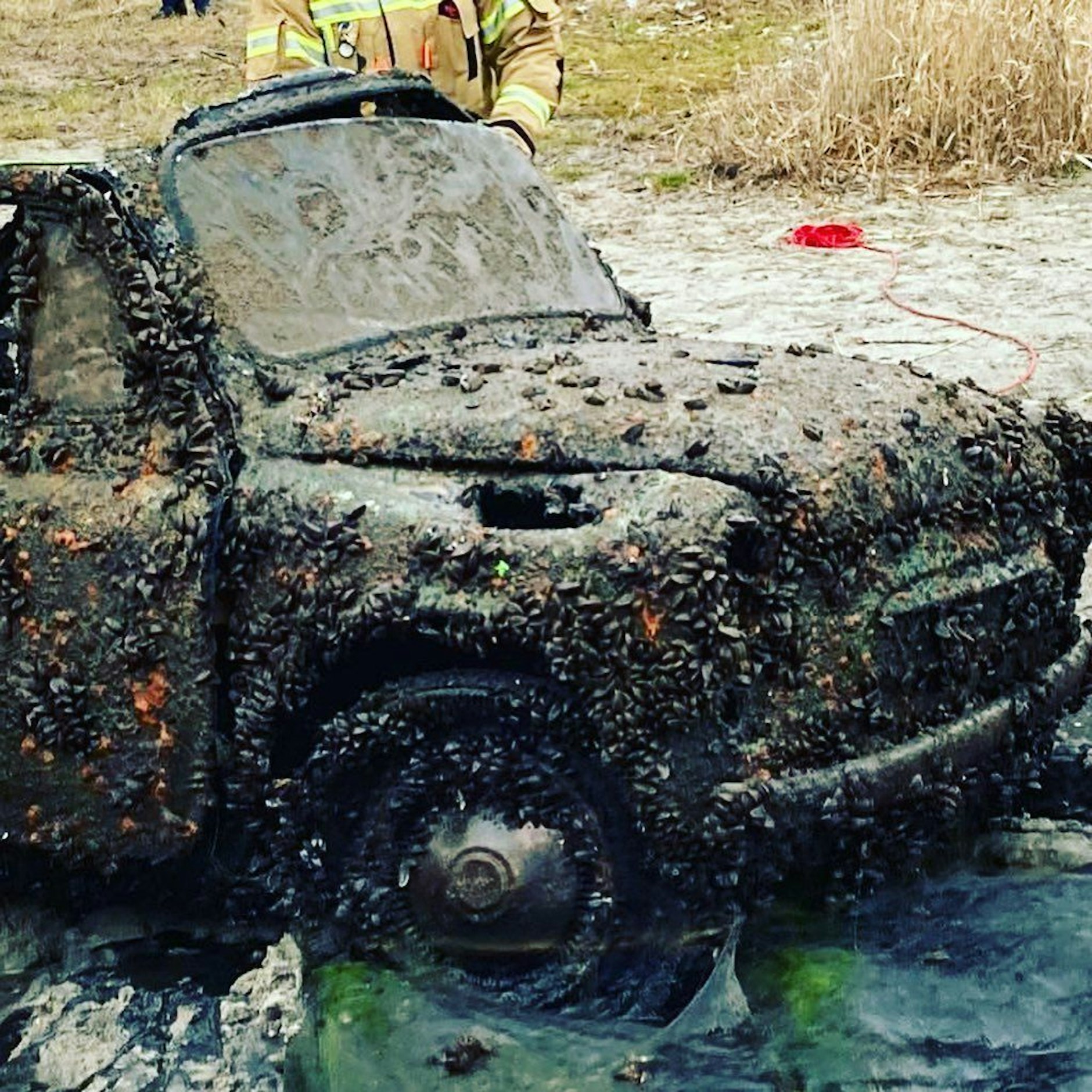 Das Auto ist komplett mit Muscheln überzogen.