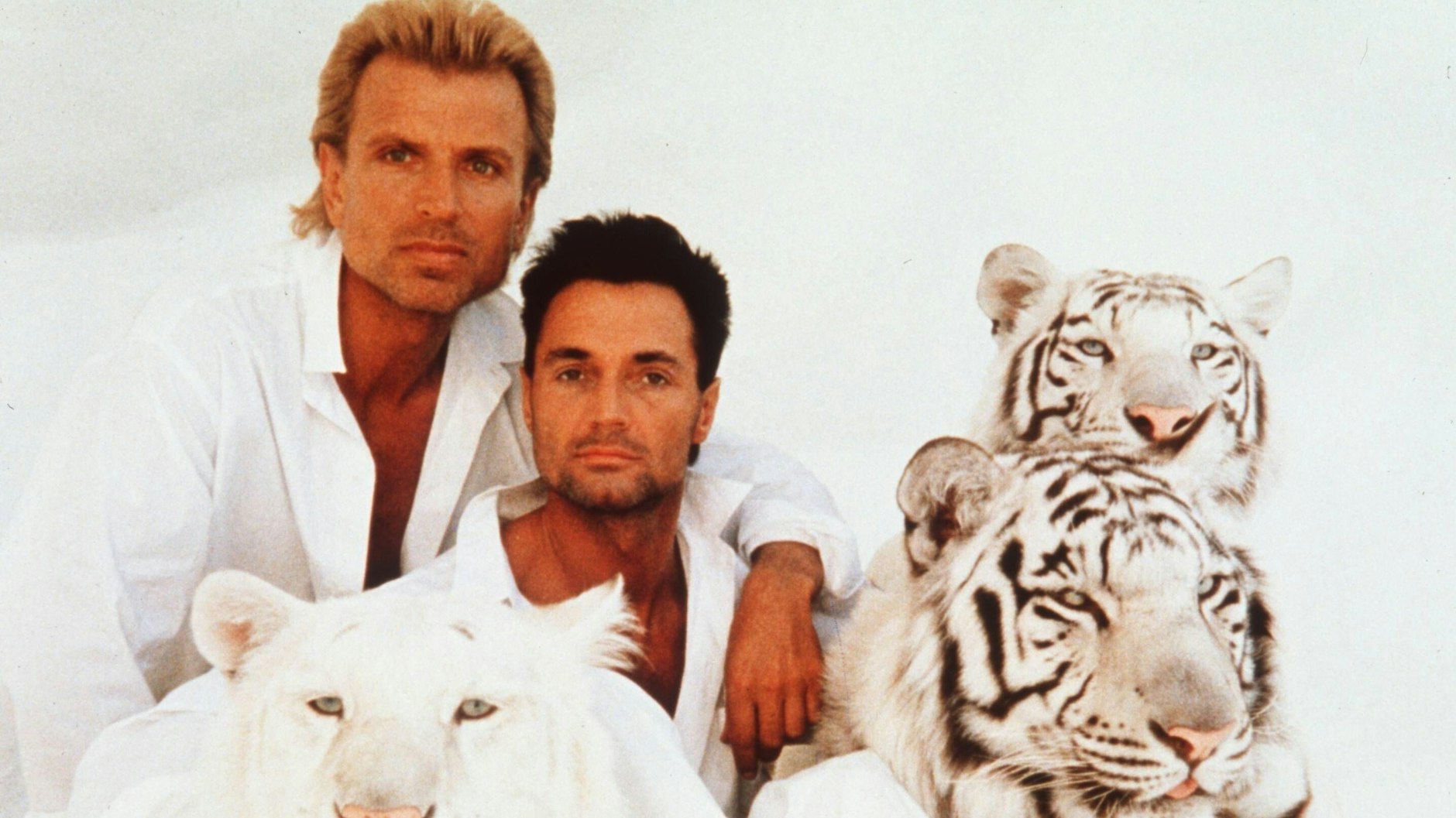 Siegfried und Roy im Jahr 1992 mit ihren weißen Tigern.