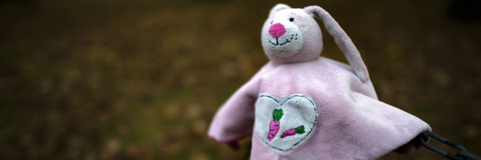 Dieses Kuschel-Häschen ging verloren. Jemand hat es auf einen Pfahl im Park gesetzt – vielleicht kommt es wieder in die richtigen Kinderhände.