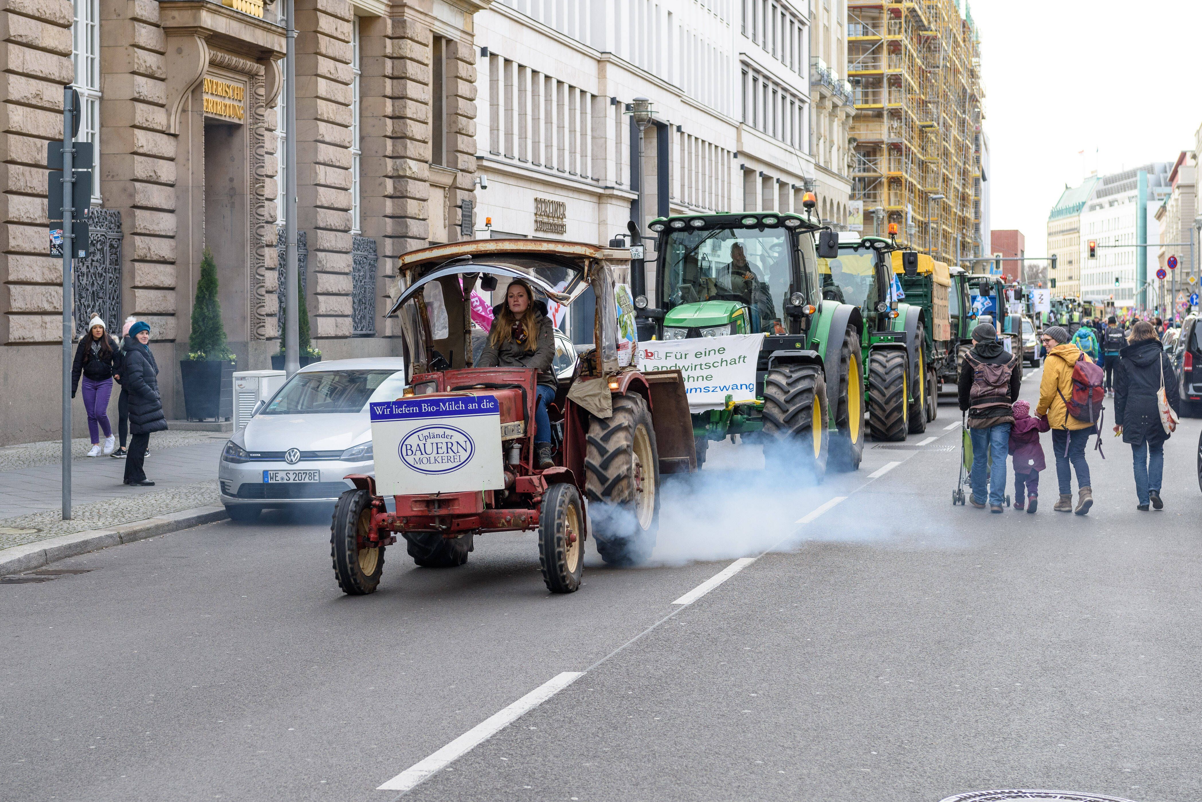 Demo In Berlin: Bauern, Tier- Und Klimaschützer Protestieren