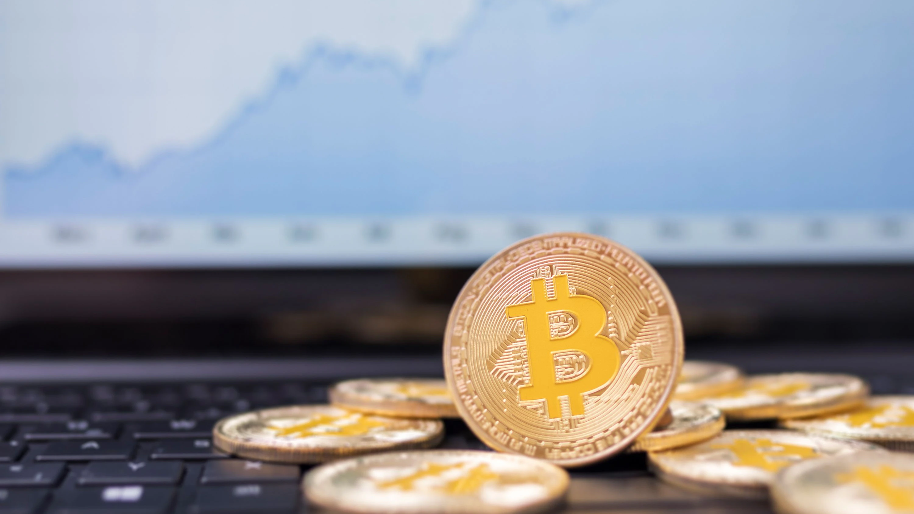 Cryptocurrency: Bitcoins are susceptible to fluctuations, so investors must always expect price losses.