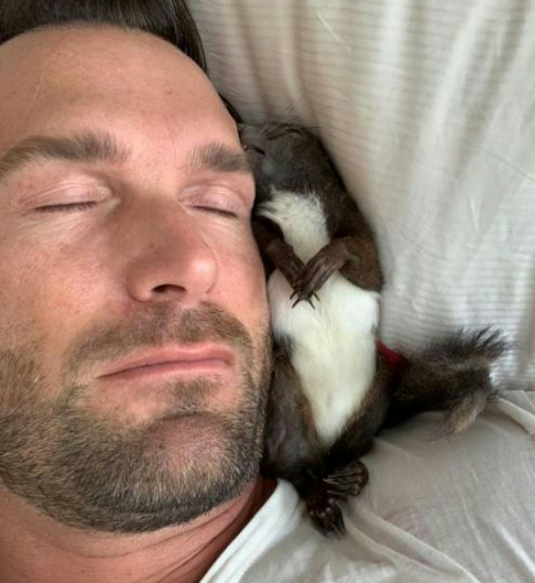 Tierische Liebe: Yotta und Fritzi. 