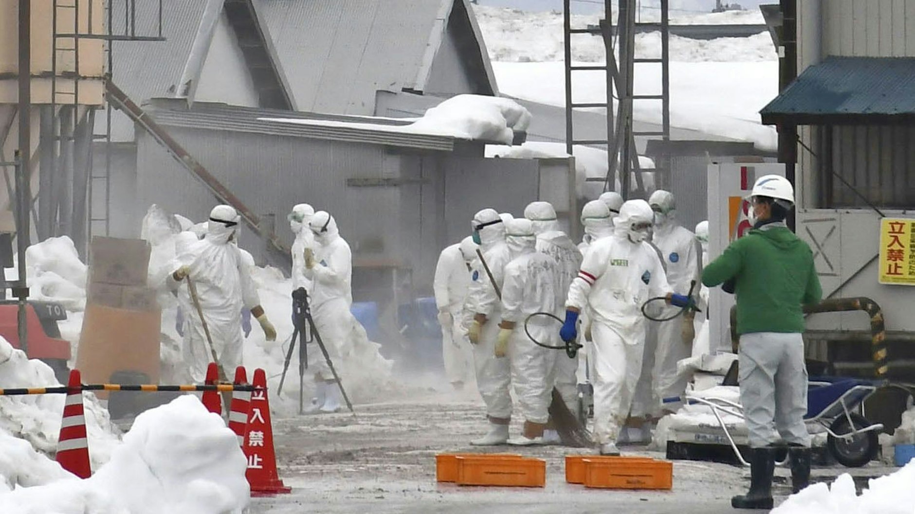 In Japan verteilen Arbeiter nach einem Vogelgrippefall Desinfektionsmittel in einer Geflügelfarm.