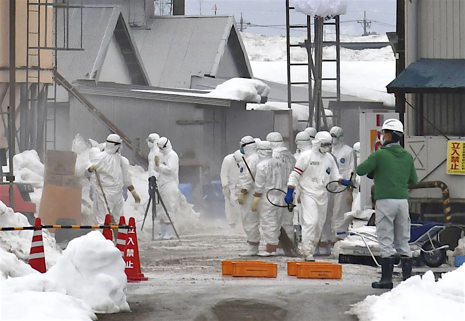 In Japan verteilen Arbeiter nach einem Vogelgrippefall Desinfektionsmittel in einer Geflügelfarm.