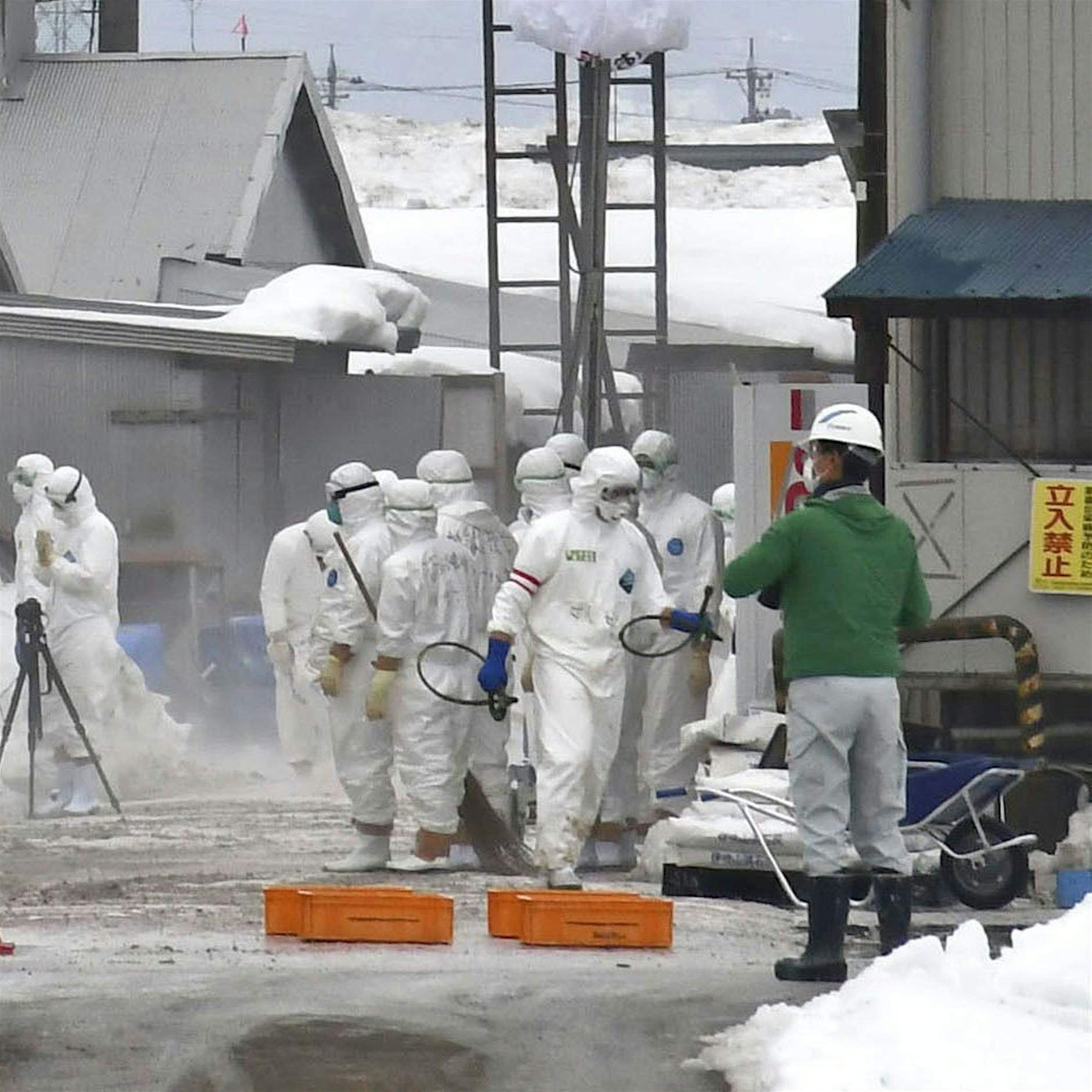 Corona, Schweinepest - und nun auch noch die Vogelgrippe