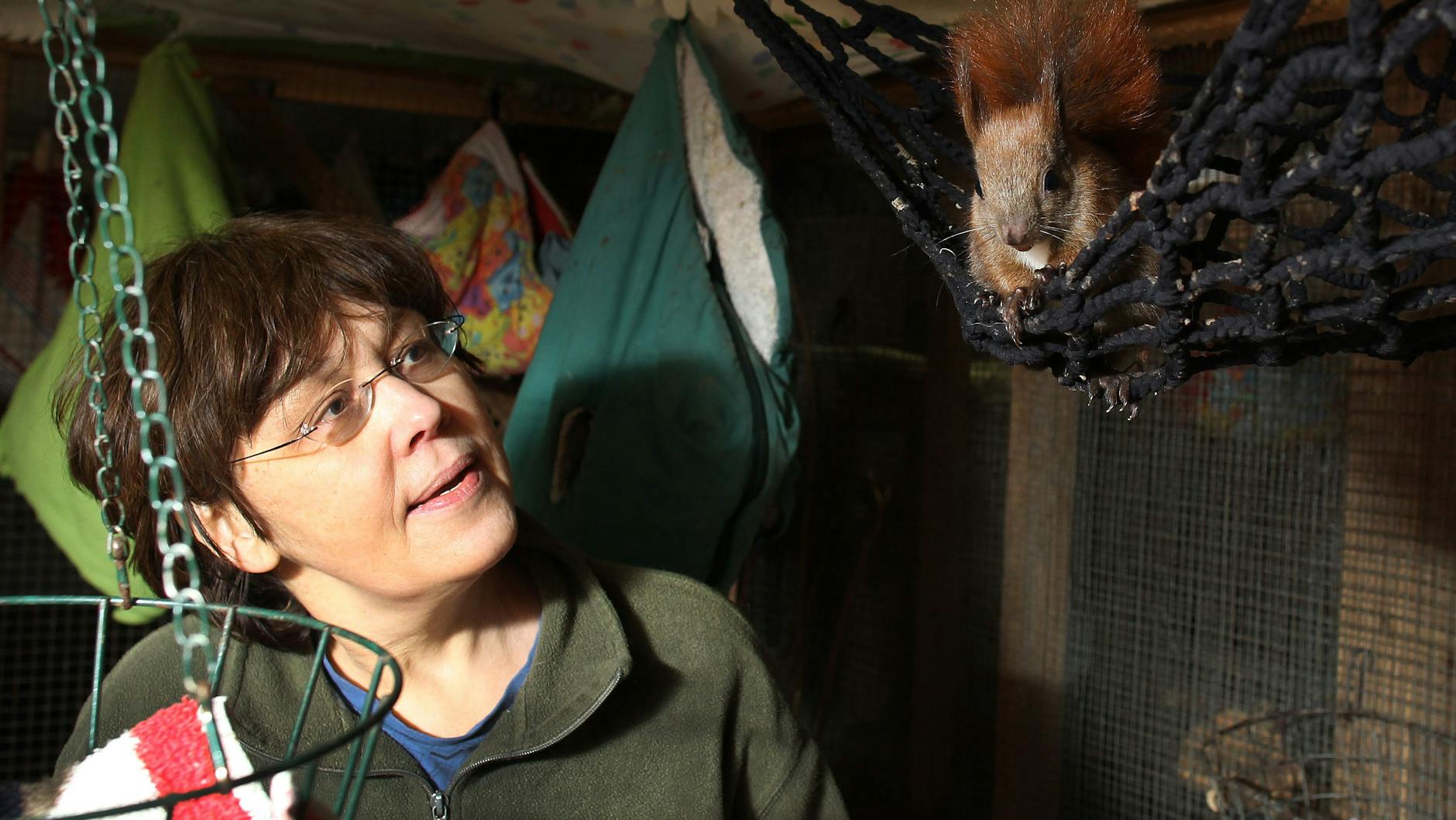 Tanya Lenn kümmert sich liebevoll um ihre Pflege-Eichhörnchen.