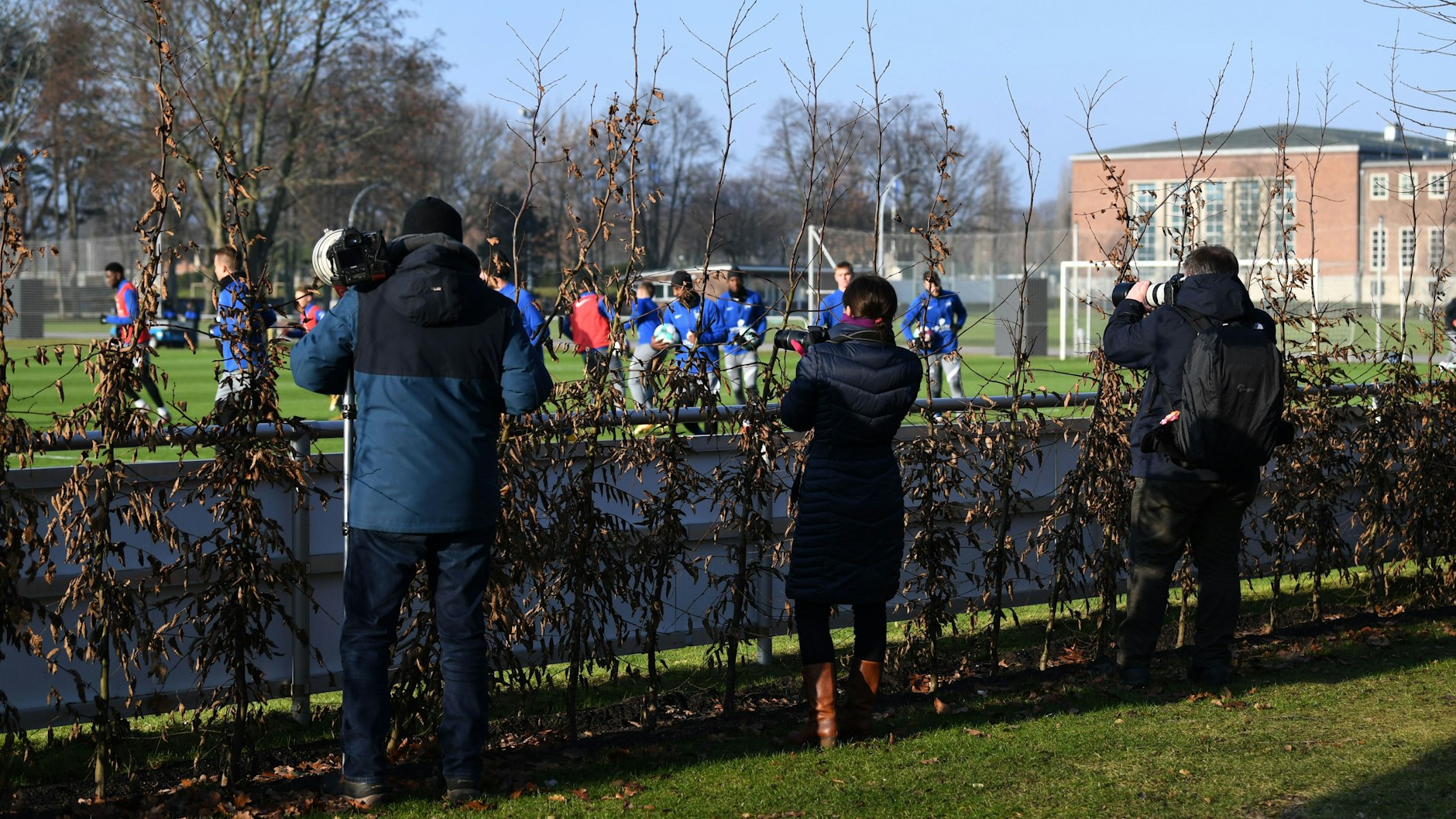 Erschwerte Bedingungen für Fotografen: Die neue Hecke soll schon bald für Sichtschutz an den beiden Längsseiten des Trainingsplatzes sorgen.&nbsp;