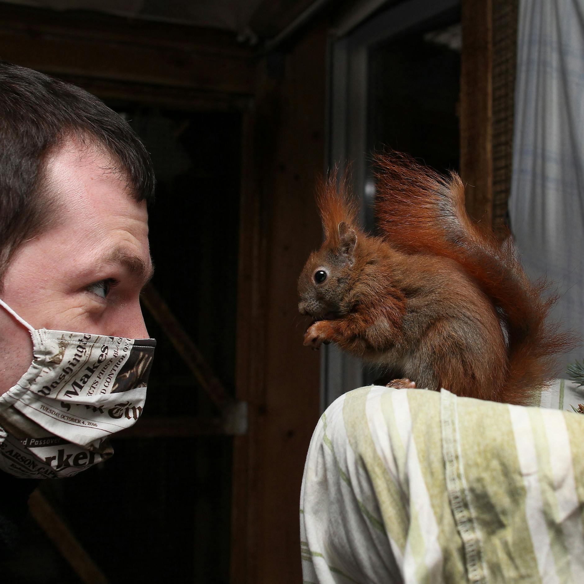 KURIER-Reporter Florian Thalmann auf Tuchfühlung mit einem der putzigen Hörnchen.