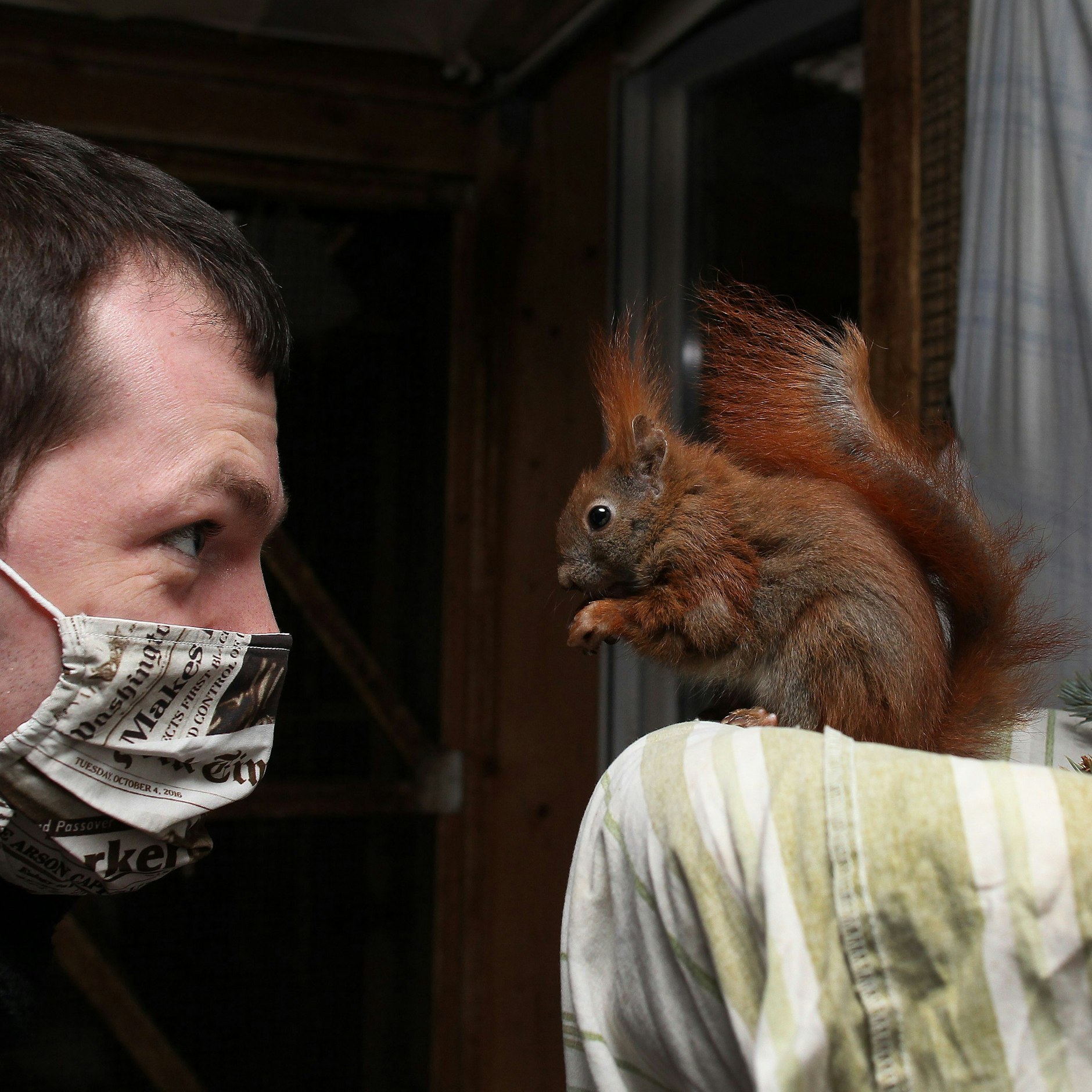 KURIER-Reporter Florian Thalmann auf Tuchfühlung mit einem der putzigen Hörnchen.