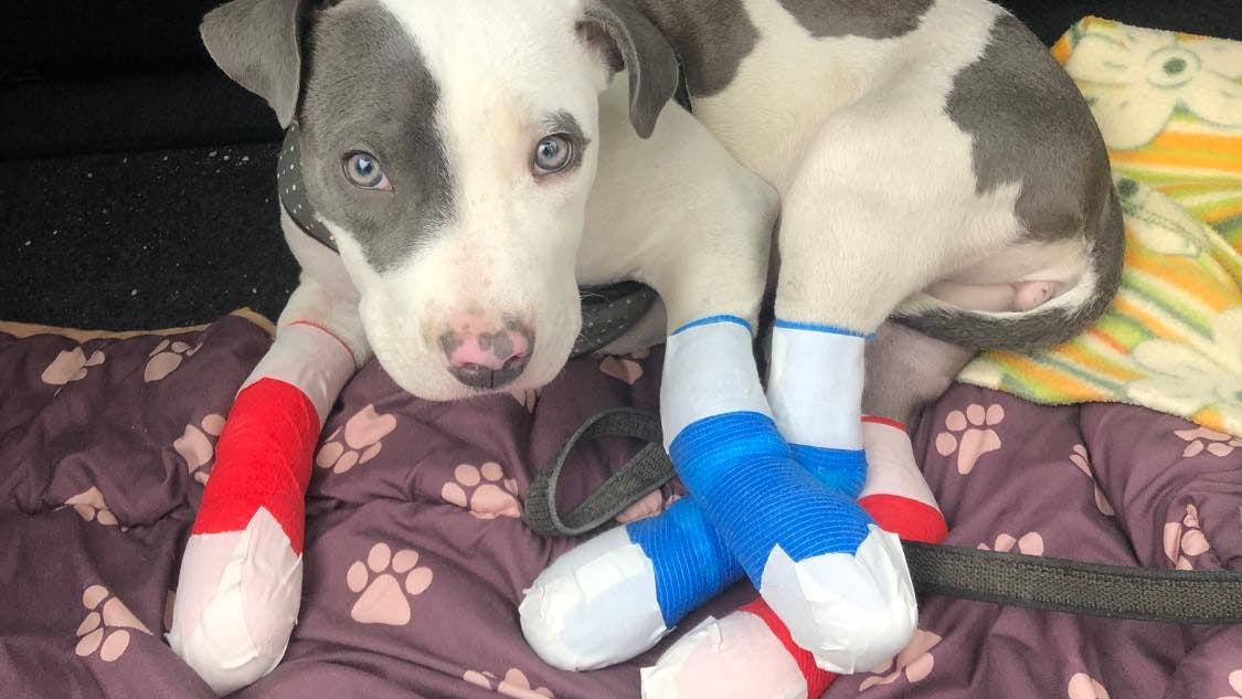 Paula geht es schon viel besser. Ihre Füße sind verbunden.