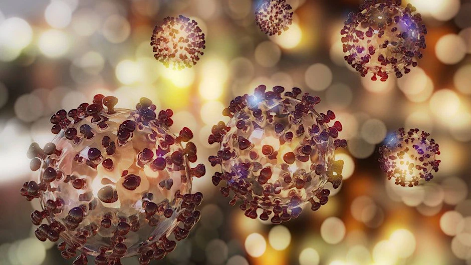 Das Coronavirus