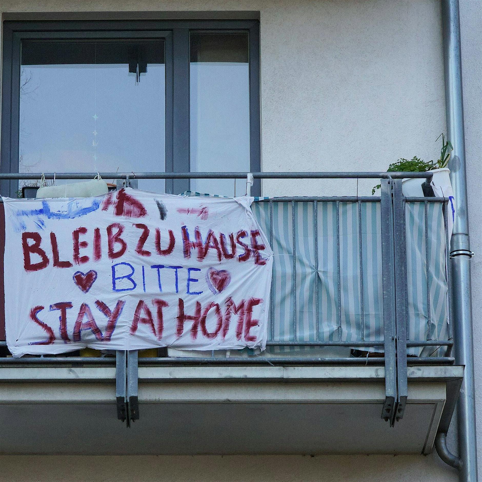 Six things in my lockdown flat that just make sense