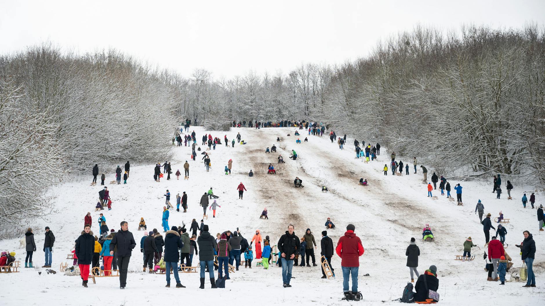Menschen fahren am Drachenberg mit Schlitten einen Hügel hinunter. 