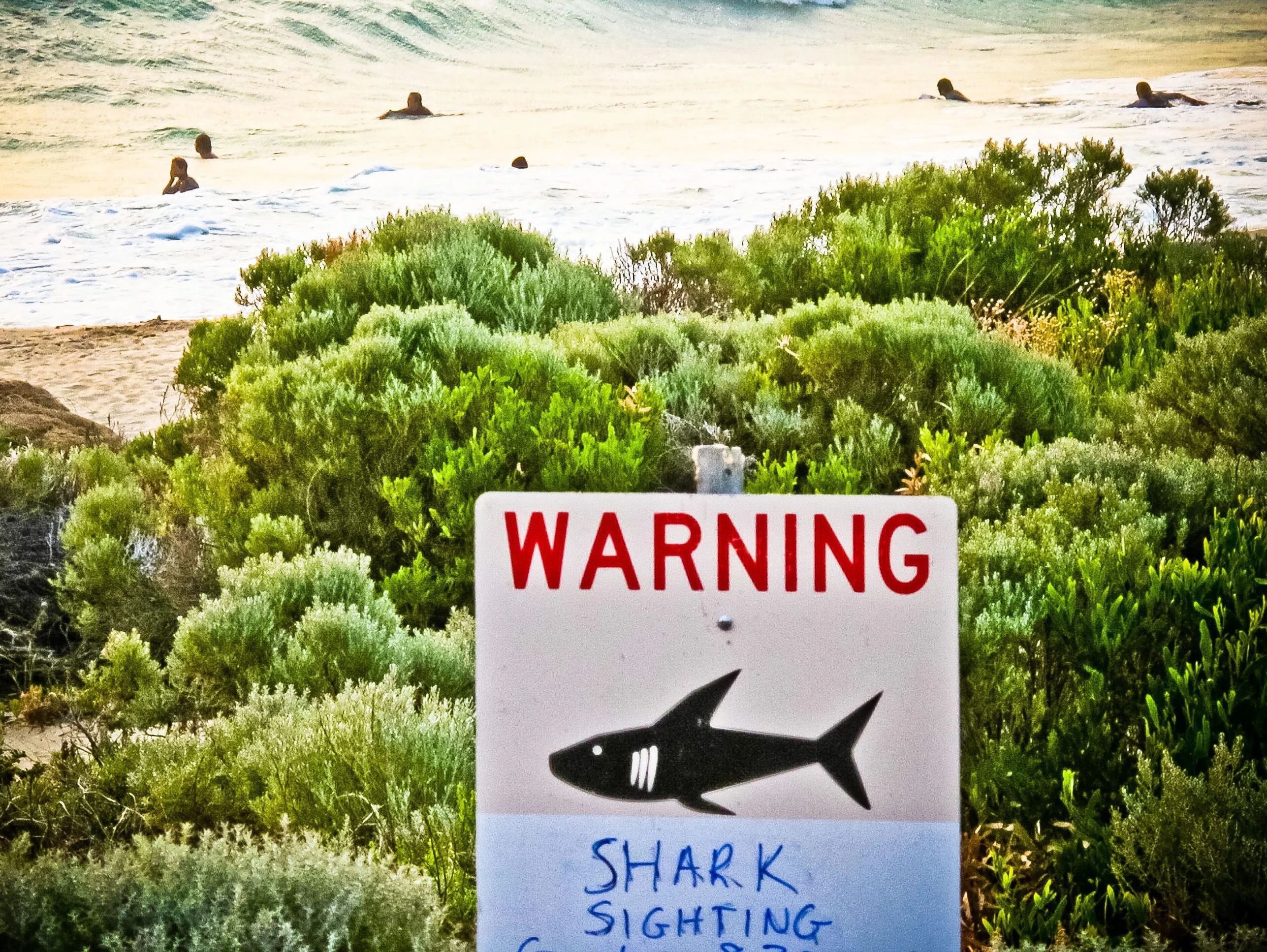 Man muss ja nicht immer schwimmen gehen: Strand im westaustralischen Margaret River.