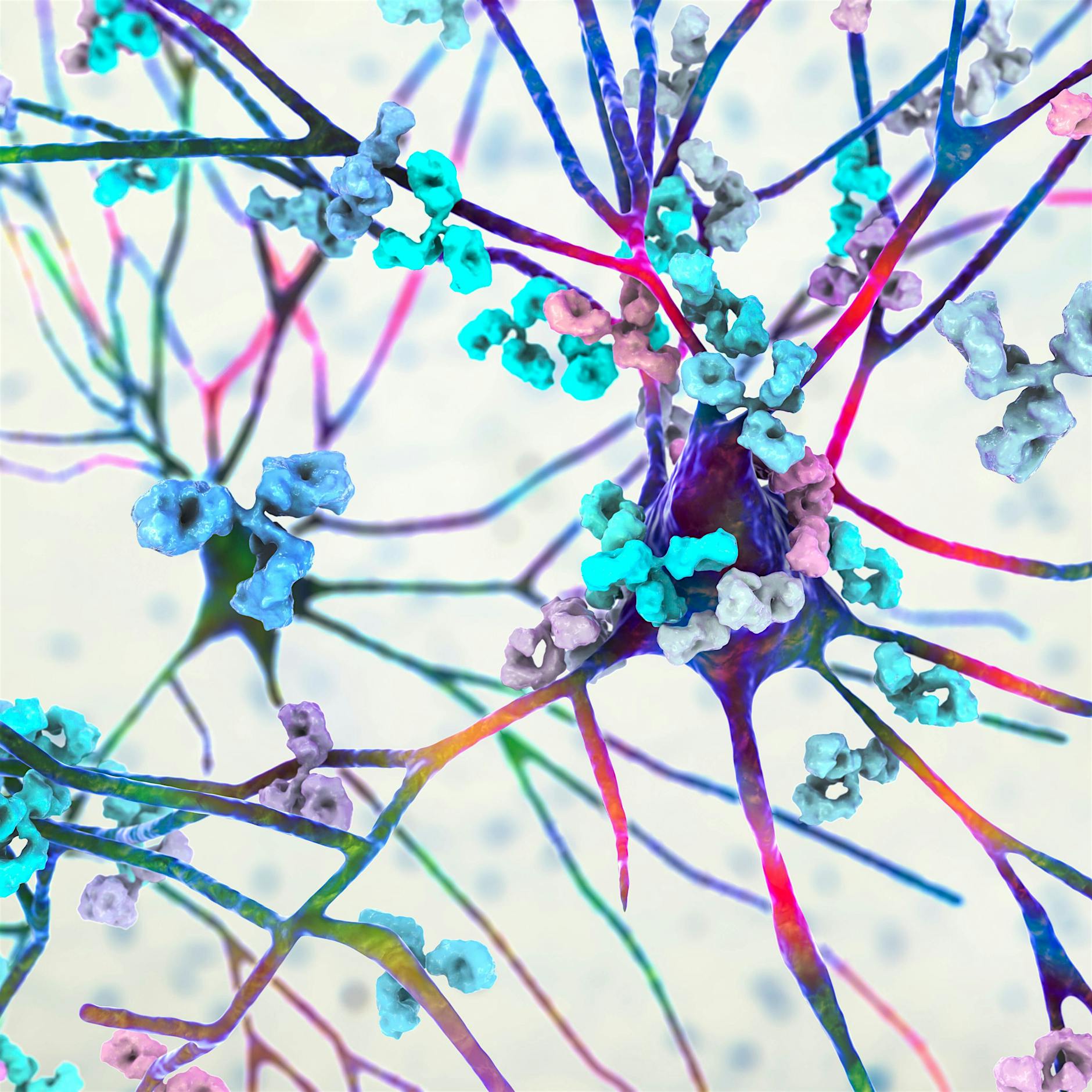 Multiple Sklerose: RNA-Impfung bessert Autoimmunerkrankung bei Mäusen deutlich