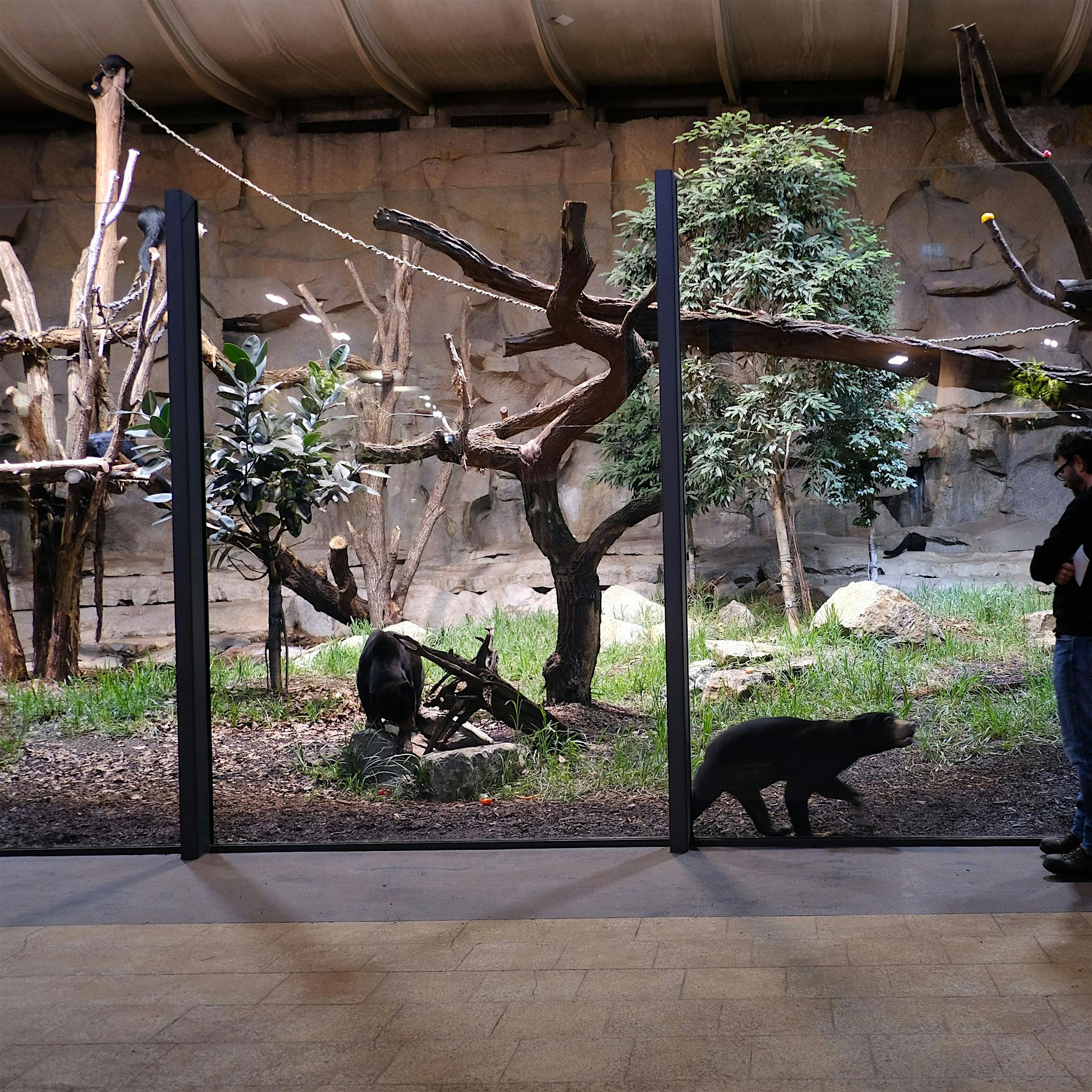 Schlafende Orte: Keine Ruhe im Alfred-Brehm-Haus