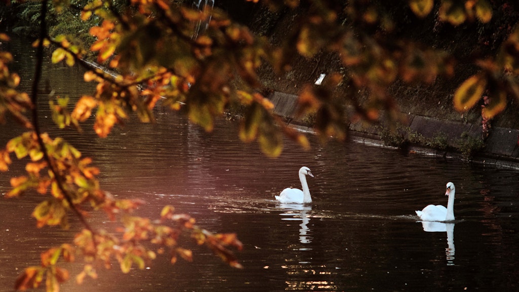 Oktober Horror Oder Goldener Herbst Meteorologe Warnt Vor Albtraum Wetter - 82ib0y3