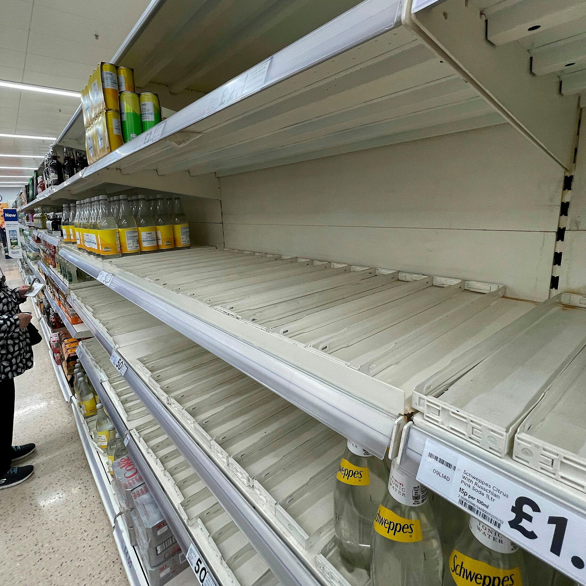 Fernfahrer verzweifelt gesucht: Jetzt sollen Deutsche das Versorgungs-Chaos in Großbritannien richten!