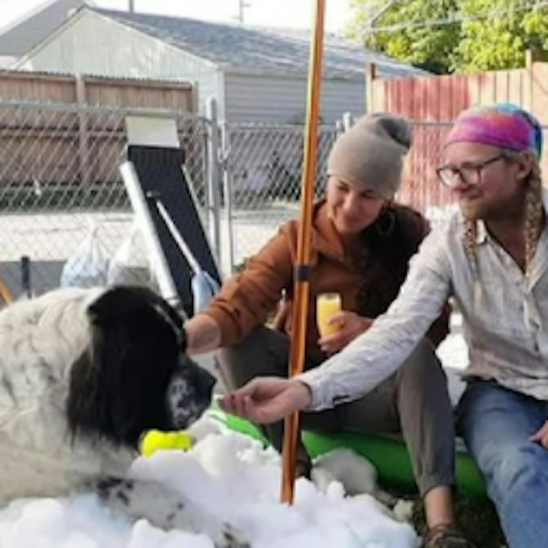 Spielen im Schnee bei 35 Grad: Besitzer machen todgeweihter Hündin eine Riesenfreude