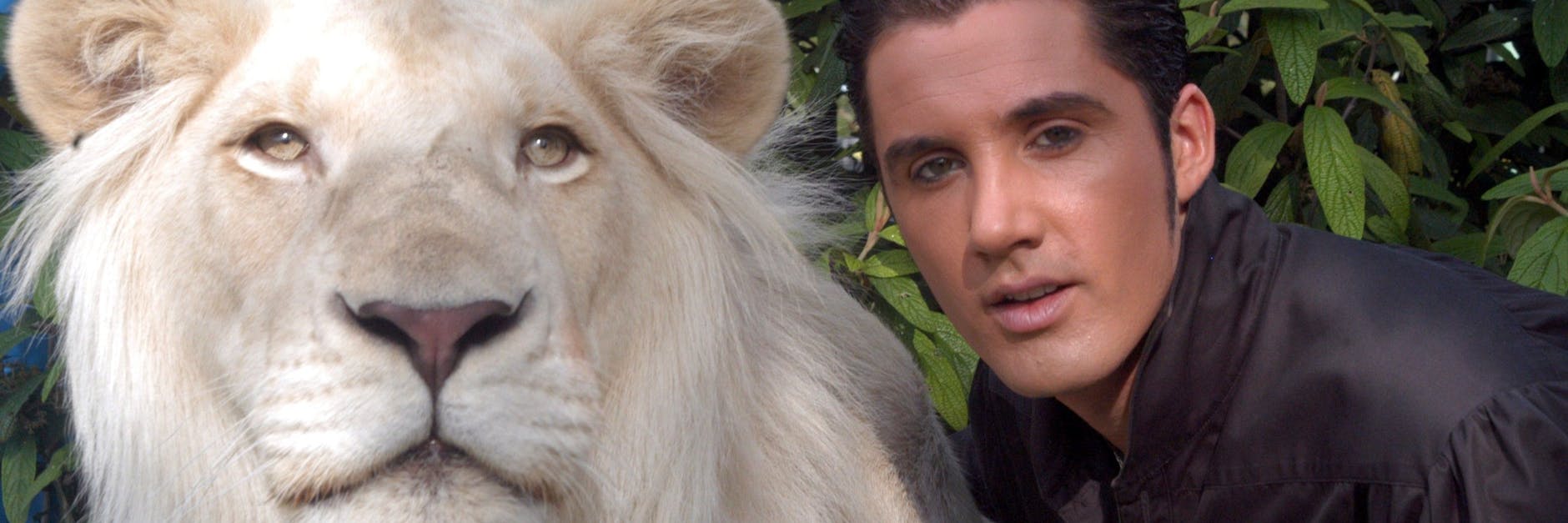 Der traditionsreiche Circus Krone in München trauert um seinen weißen Löwen King Tonga. Das Foto zeigt das Raubtier mit seinem Dompteur Martin Lacey jr. 