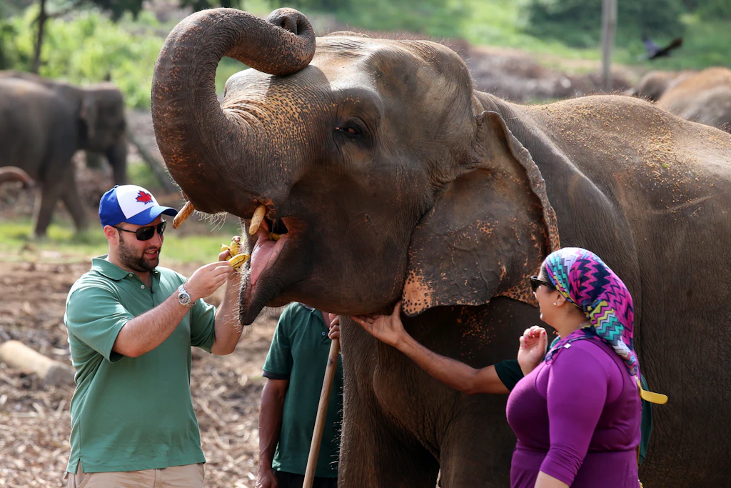 Der Elefant als religiöses Politikum