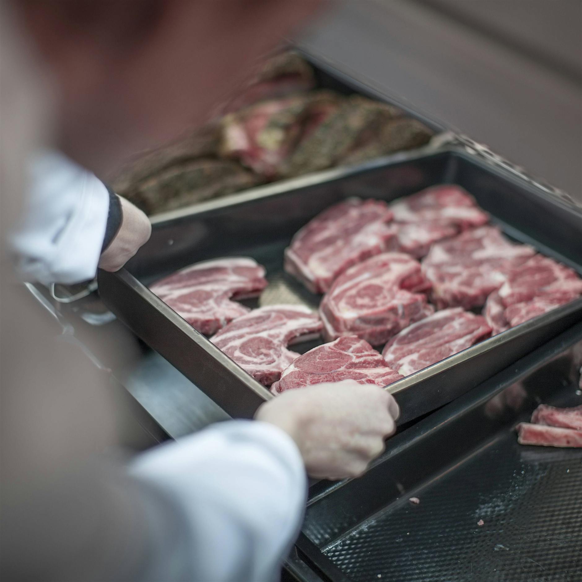 Tierschutz: Woher das Fleisch aus Frischetheken im Supermarkt kommt