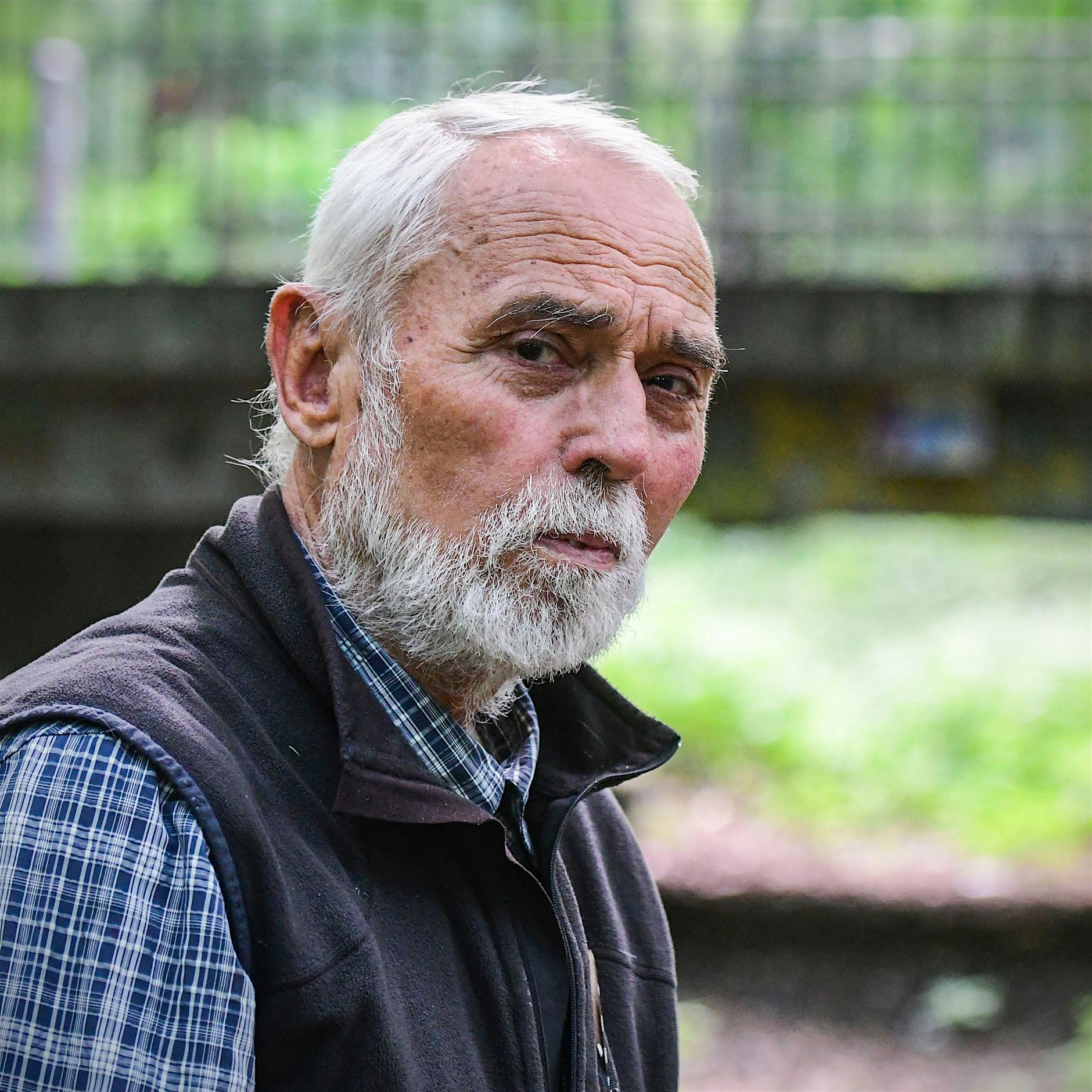 Höhere Temperaturen, weniger Regen, das Ende des Tagebaus – Berlin trocknet aus