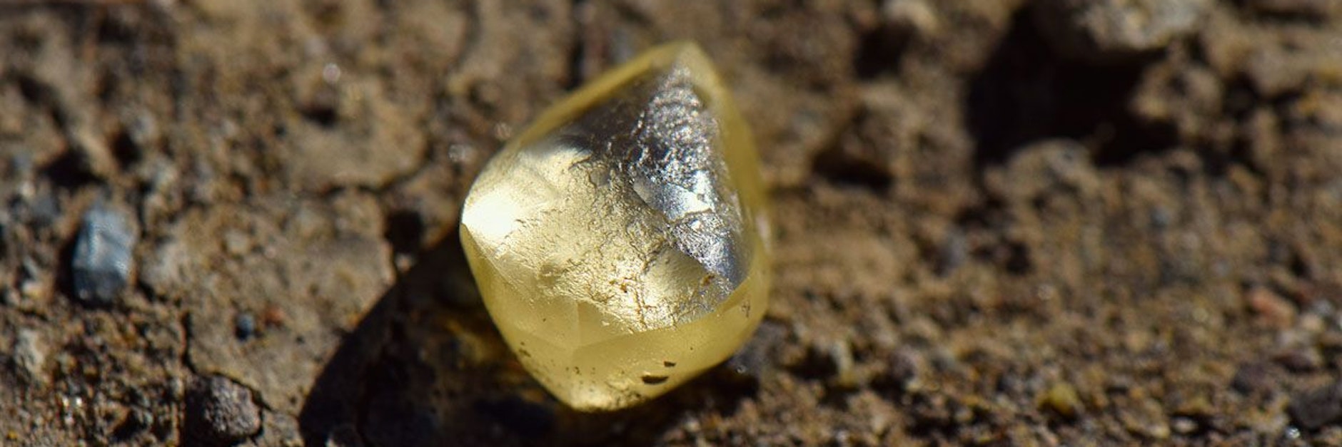 Eine Frau aus Kalifornien hat diesen 4,83 Karat schweren Diamanten gefunden.