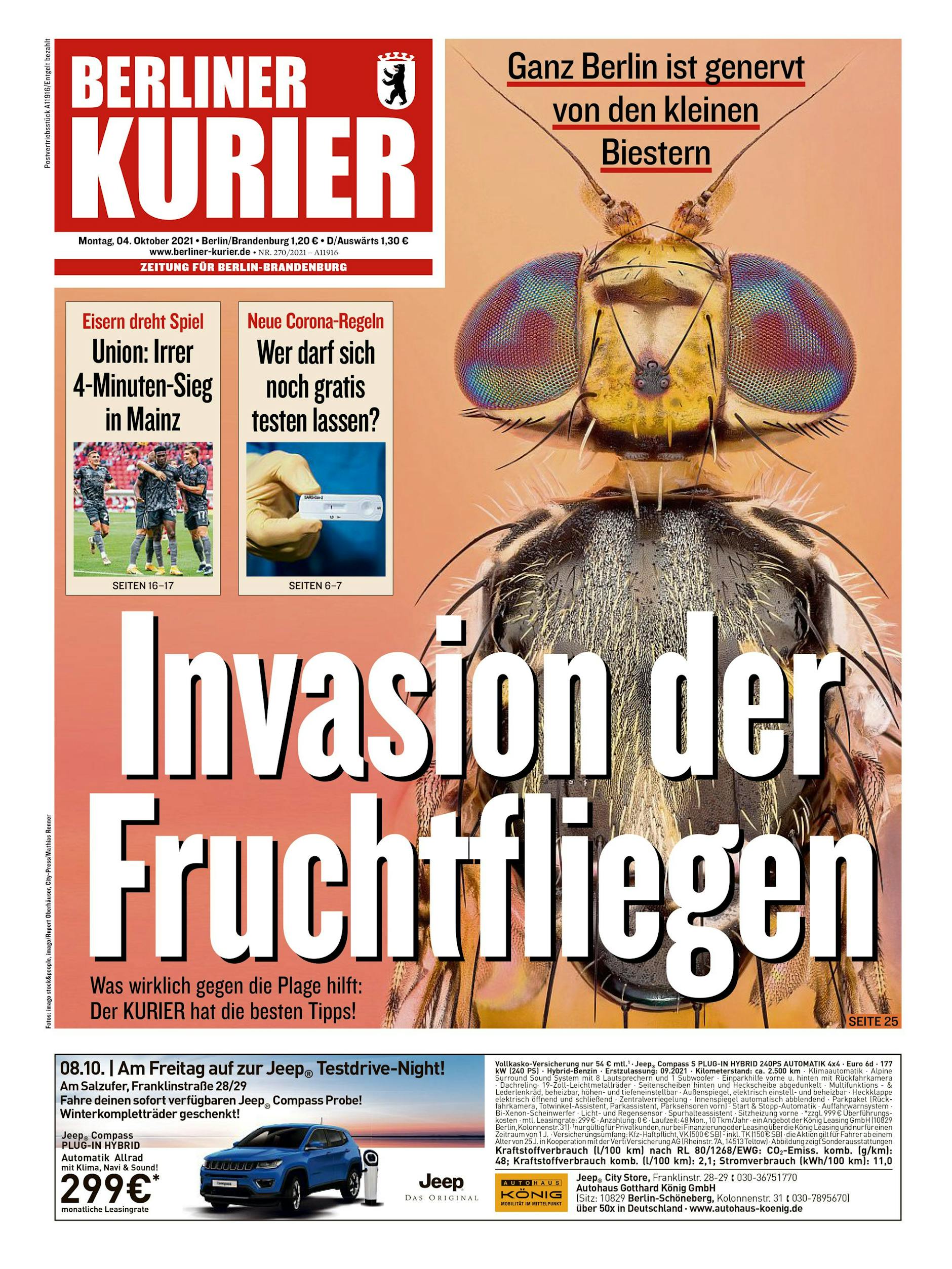 So titelte der KURIER zum Thema Fruchtfliegen - das Foto des Insekts begeisterte die Redaktion.