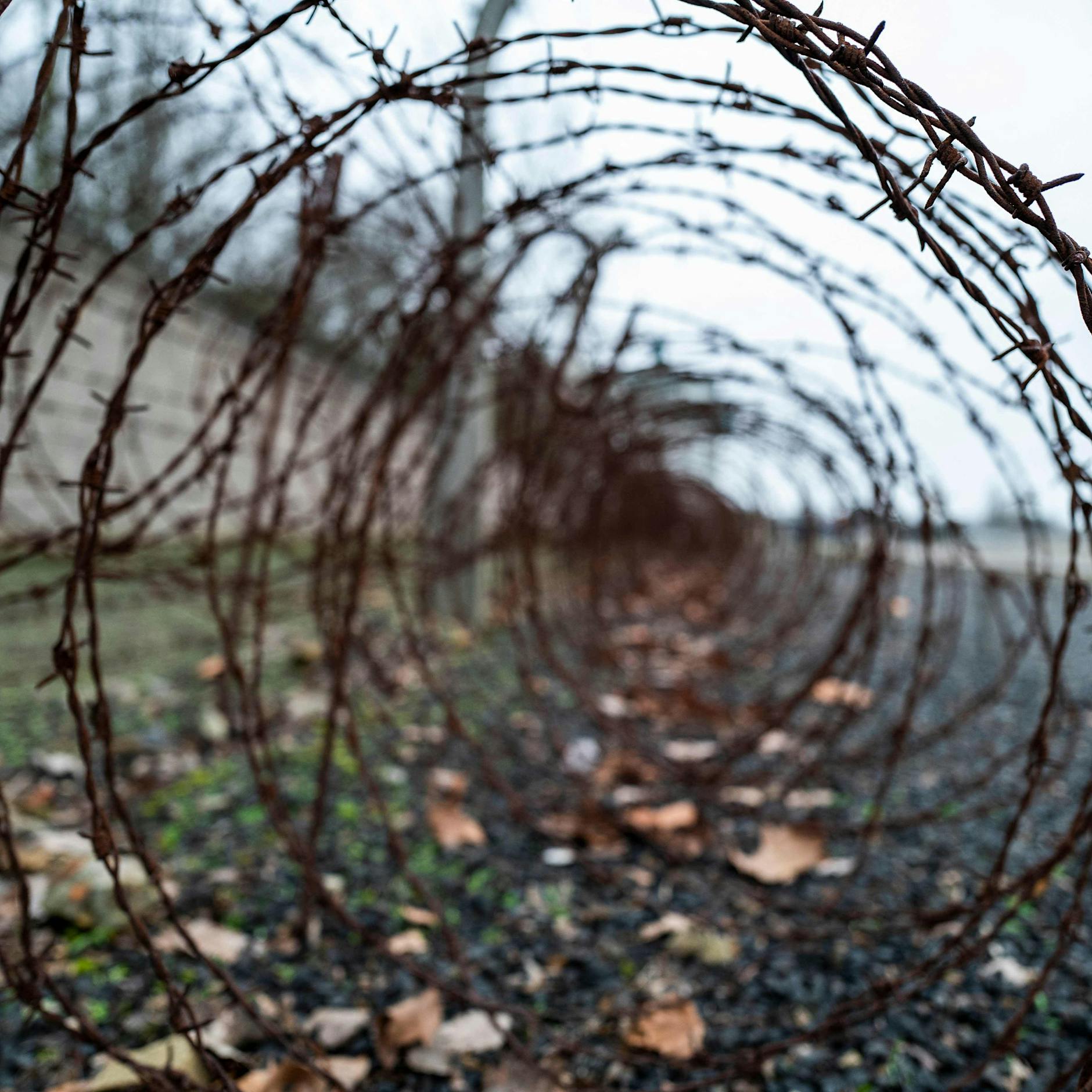 Hundertjähriger in Brandenburg wegen DIESER unfassbaren Tat vor Gericht: Ihm wird Beihilfe zum Massenmord vorgeworfen!