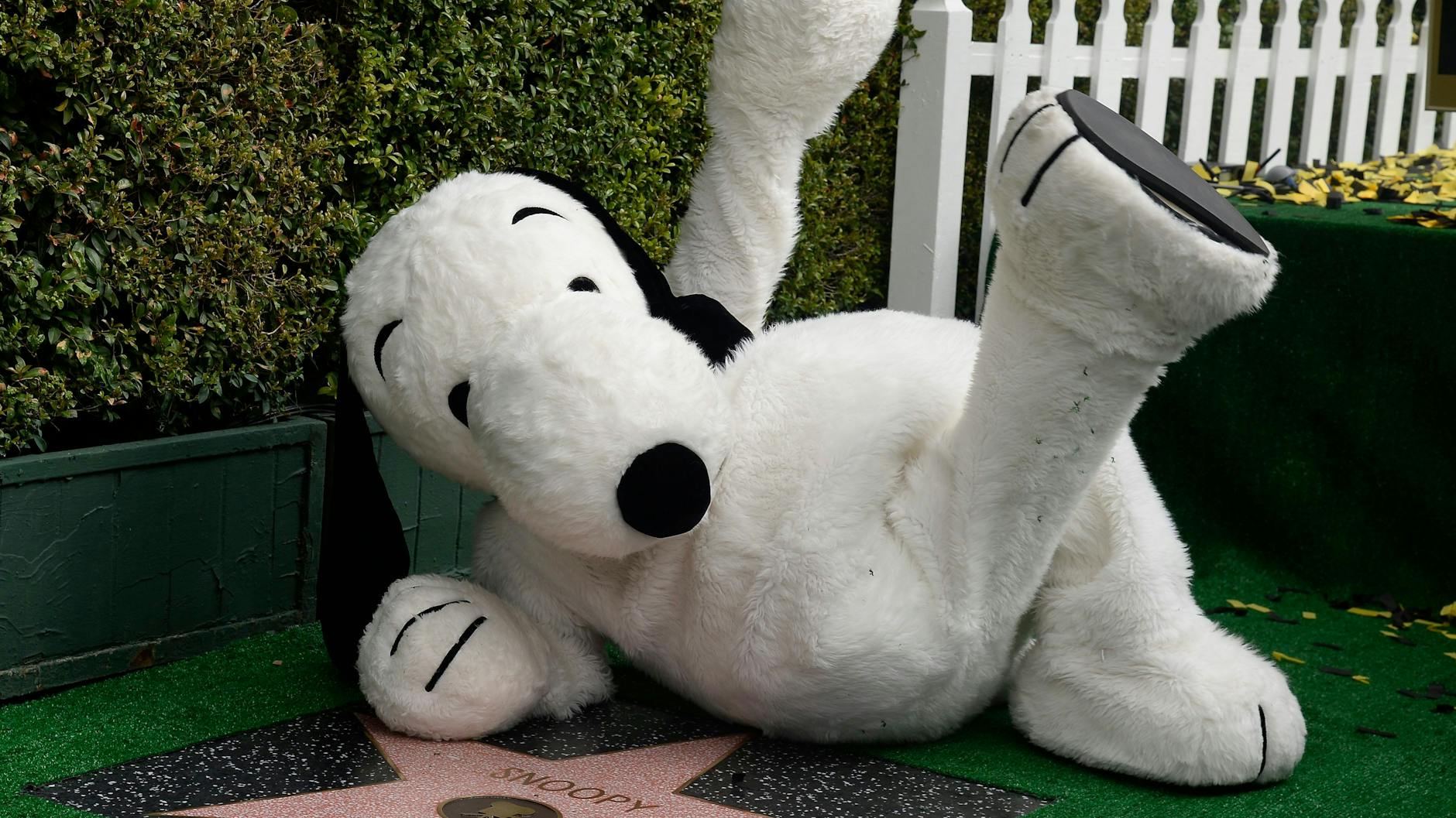 Die Zeichentrickfigur Snoopy liegt neben seinem Stern auf dem Hollywood Walk of Fame.