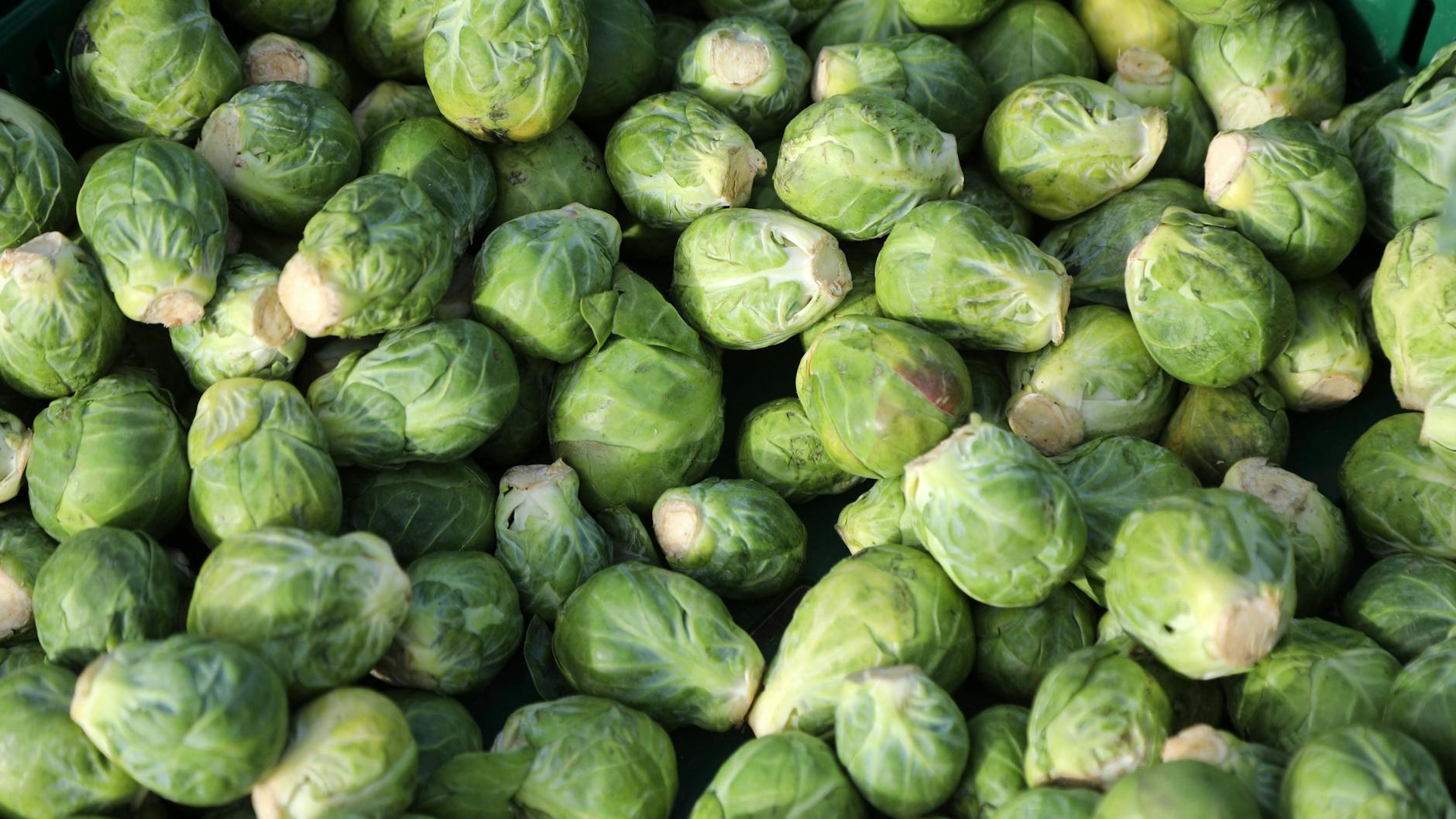 Rosenkohl ist ein beliebtes Wintergemüse.