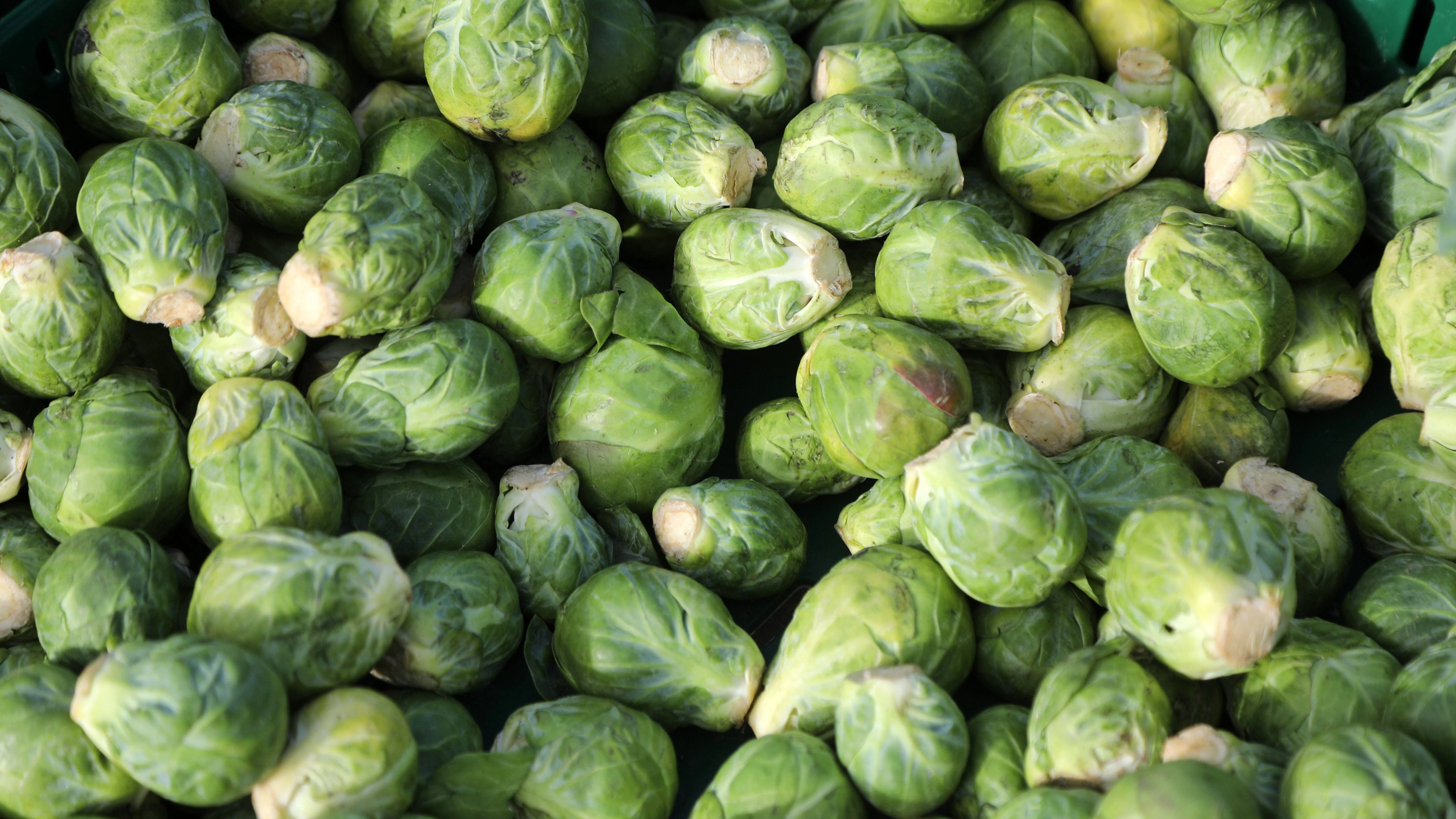 Rosenkohl ist ein beliebtes Winter-Gemüse.