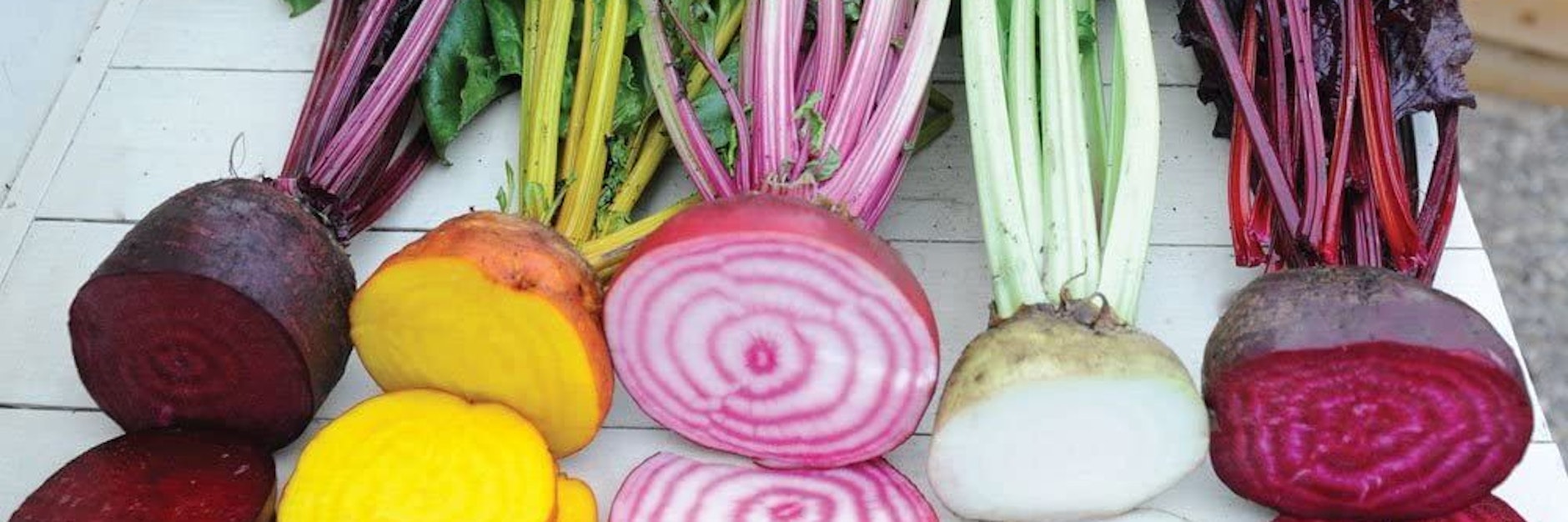 Viele  Farben sind möglich - Bunte Bete, Rote Bete, Hauptsache Knolle.. Im Herbst kommt sie frisch auf den Tisch.&nbsp;