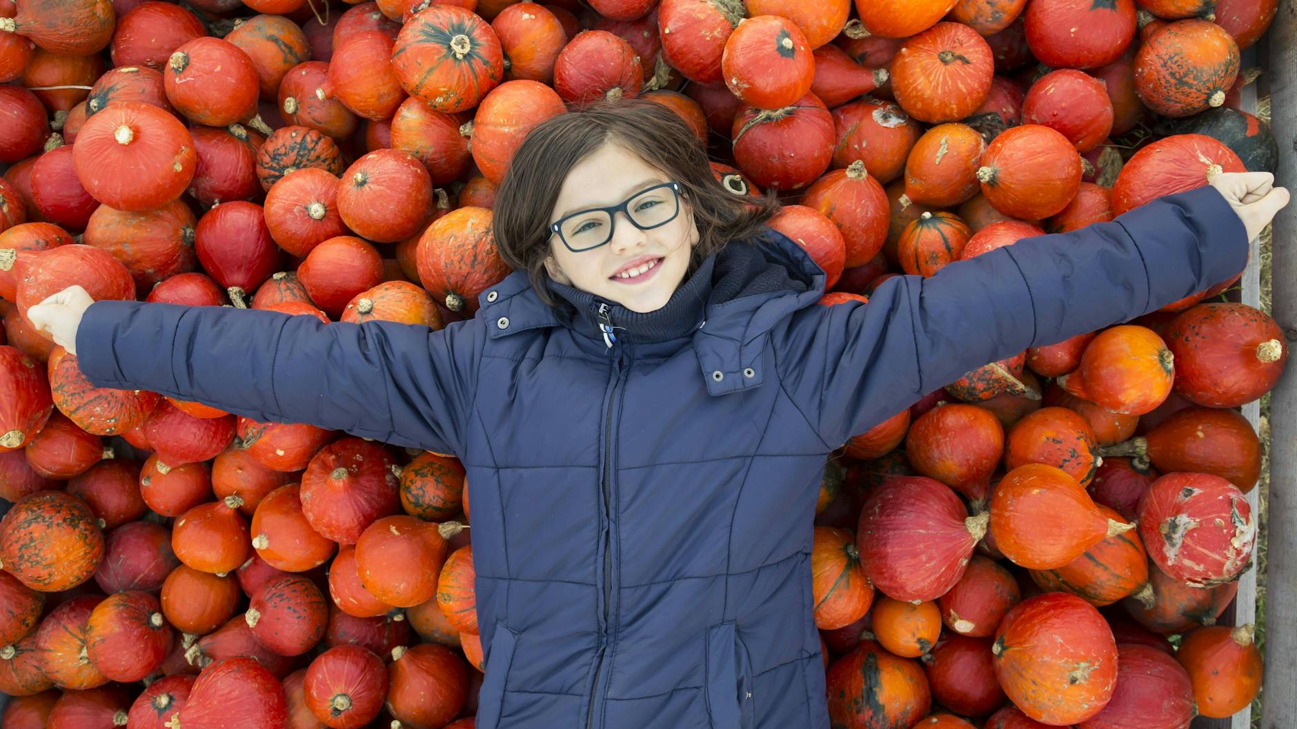 Jede Menge Kürbisse in allen denkbaren Größen gibt es auf dem Hof in Kremmen zu bestaunen. 