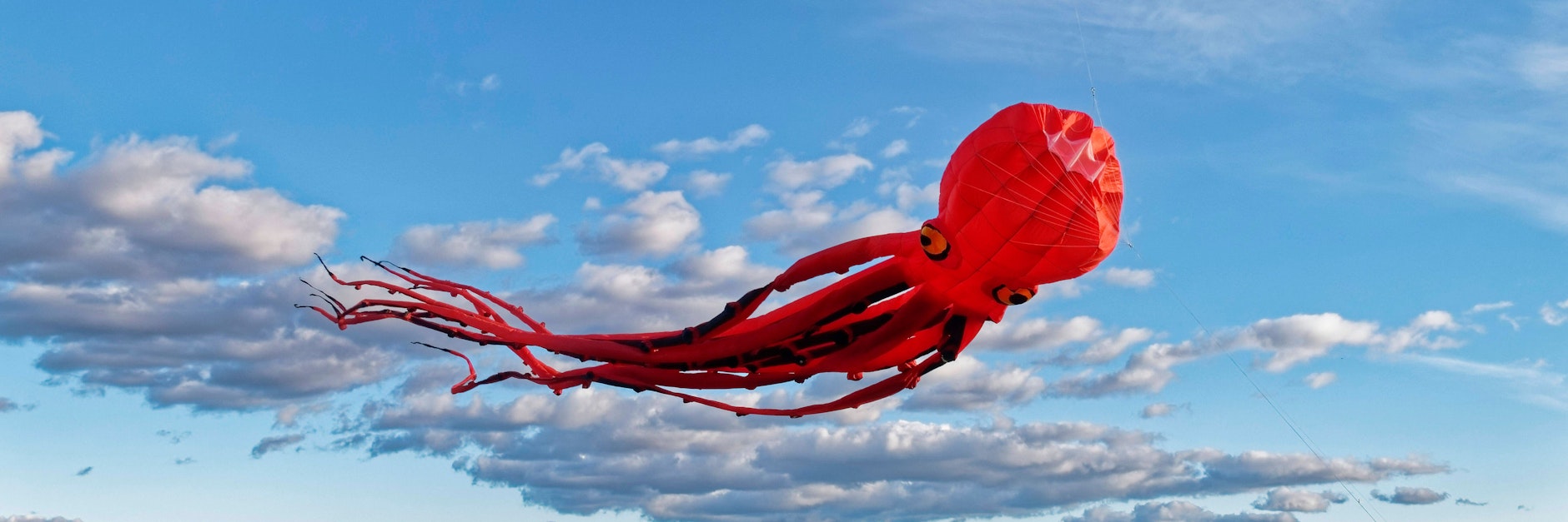 Drachensteigen lassen oder ab in den Wald. Herbst in Berlin und Brandenburg kann so schön sein.&nbsp;