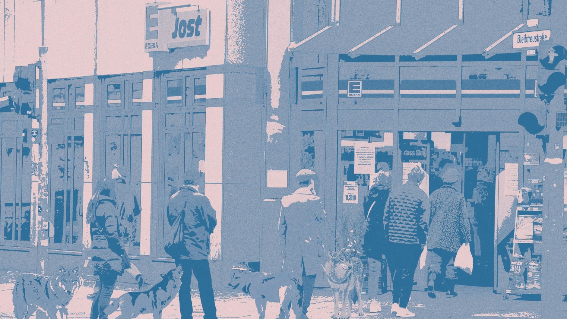 Fleischwurstscheiben für die Welpen: Werden Supermärkte bald auch für Wölfe systemrelevant? Wölfe warten geduldig in der Schlange vor einer Edeka-Filiale in Charlottenburg (Kantstraße Ecke Bleibtreustraße).