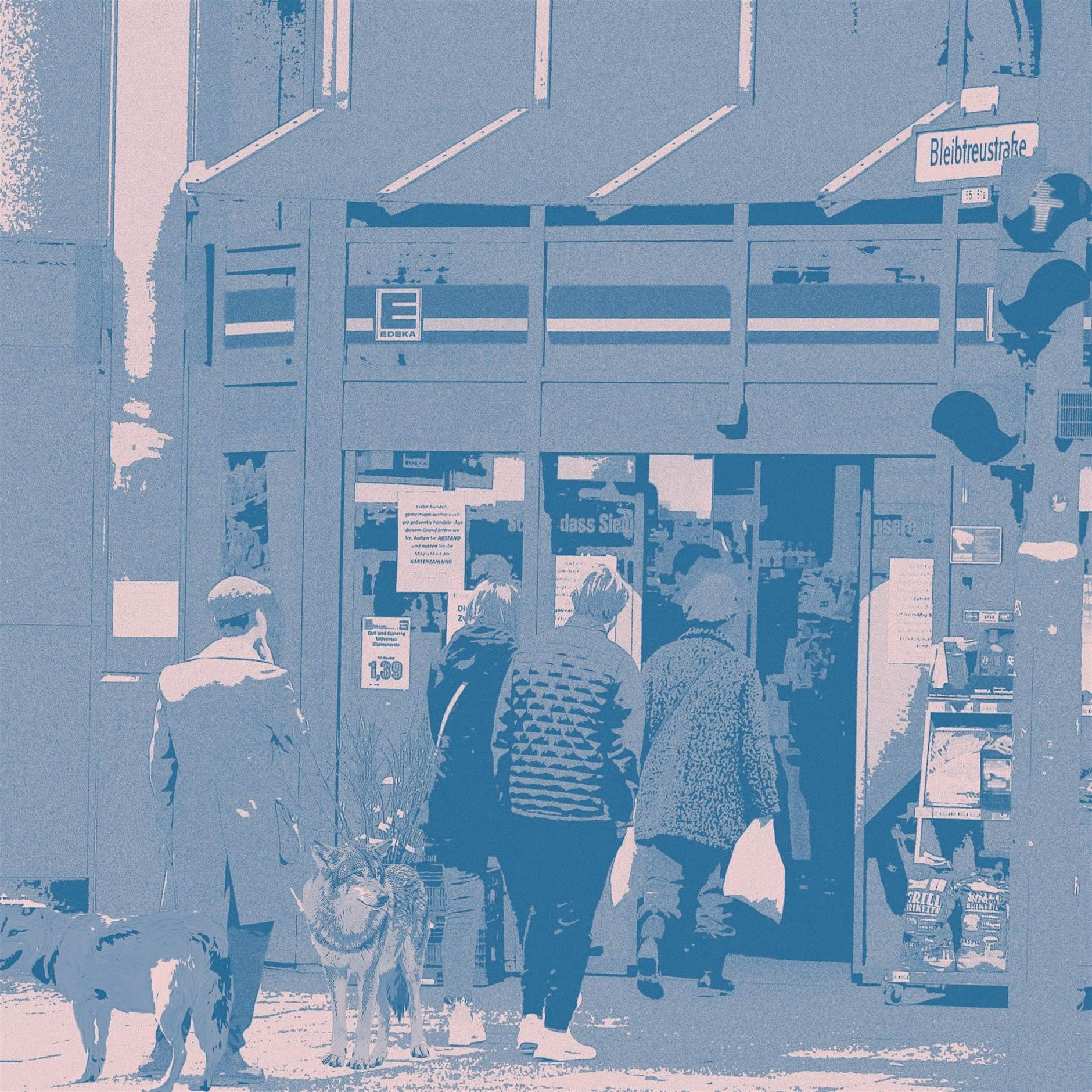 Der Wolf in Berlin: Eine Scheibe Fleischwurst für die Welpen