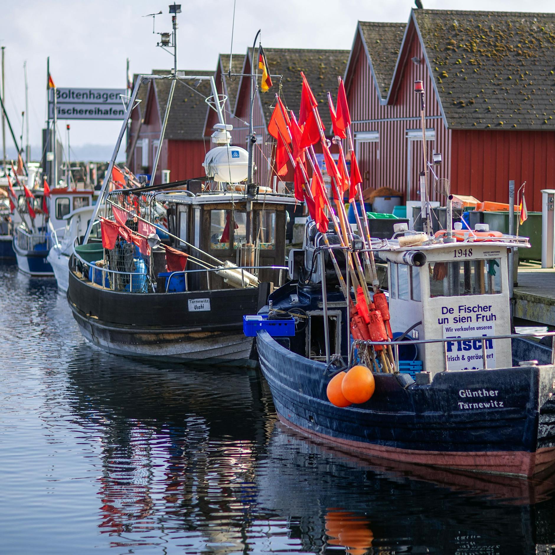 Hering wird immer seltener, Fischerei verschwindet: Geht der Ostsee jetzt ganz der Fisch aus?