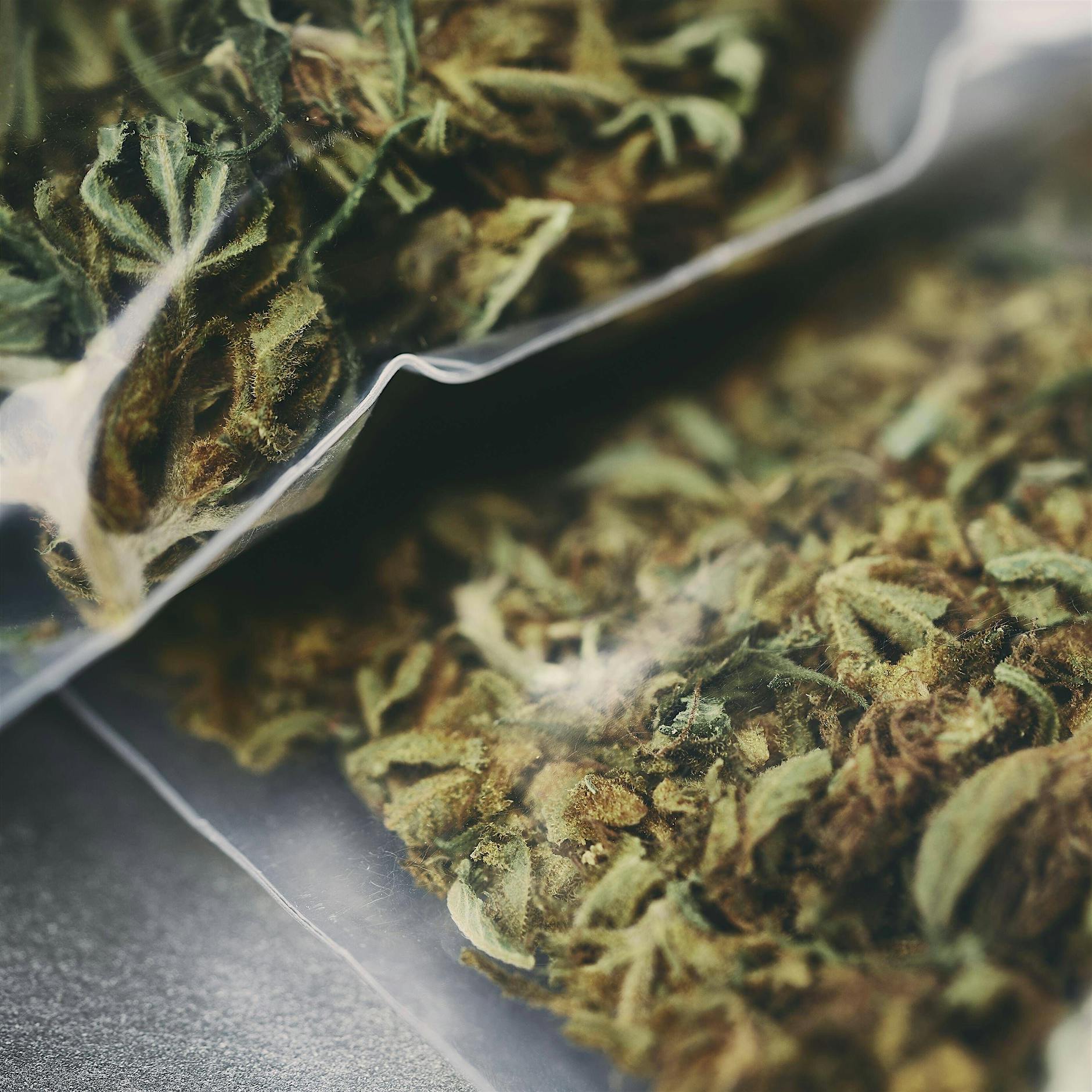 Prozess in Berlin: Mann soll 90 Kilo Cannabis gehortet haben