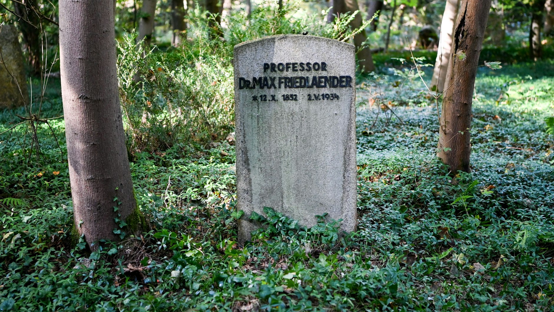 Stahnsdorf: Das Grab von Max Friedlaender auf dem Südwestkirchhof Stahnsdorf. In dieser Grabstätte wurde nun ein Neonazi beigesetzt.