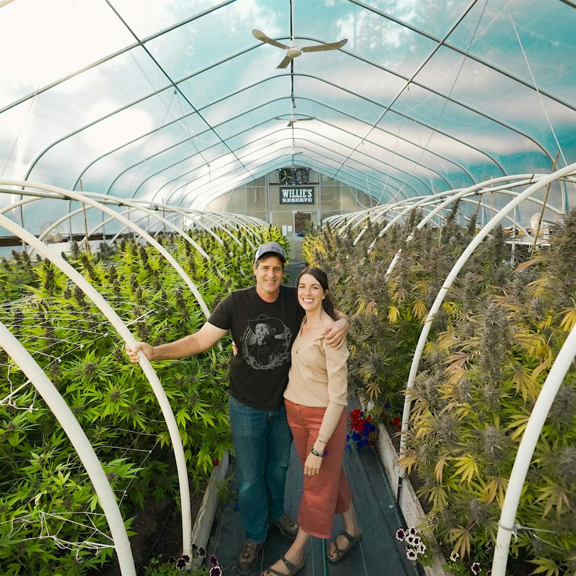 Cannabis-Legalisierung in den USA: Kleine Hanfplantagen kämpfen um ihre Existenz