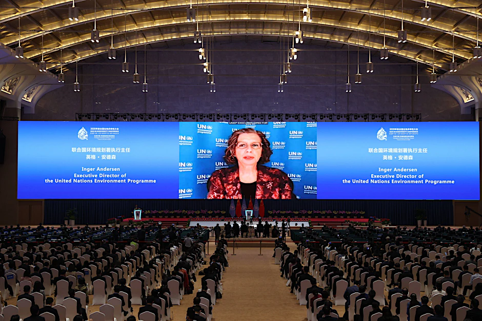 Inger Andersen, Chefin des UN-Umweltprogramms, hält eine Rede in der Eröffnungssitzung der 15. Weltbiodiversitätskonferenz im chinesischen Kunming.&nbsp;