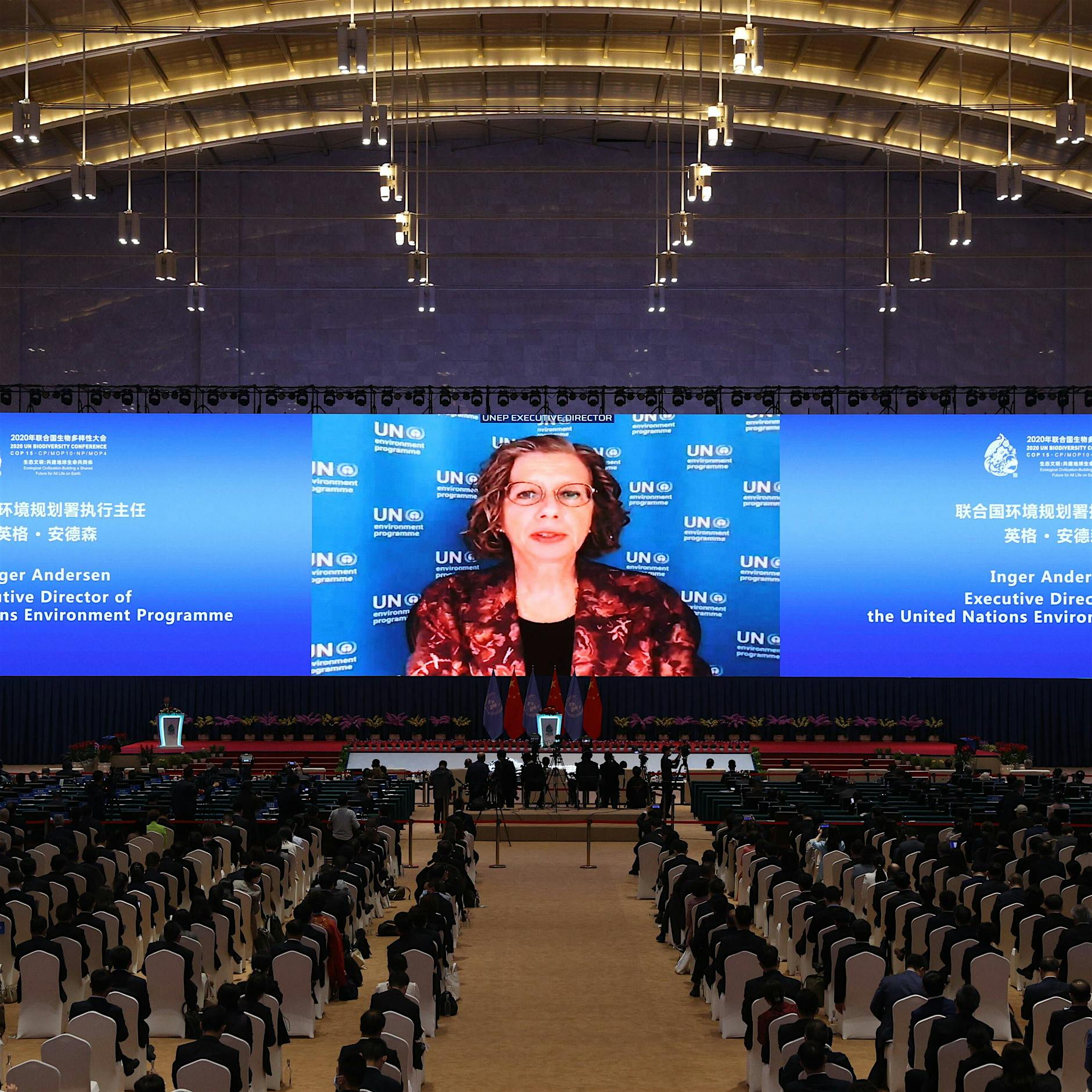 Artenschutz: Staaten verabschieden „Erklärung von Kunming“