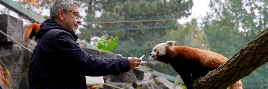 Freunde fürs Leben! Urs Fischer hat dem kleinen Panda Gefallen gefunden und füttert ihn.