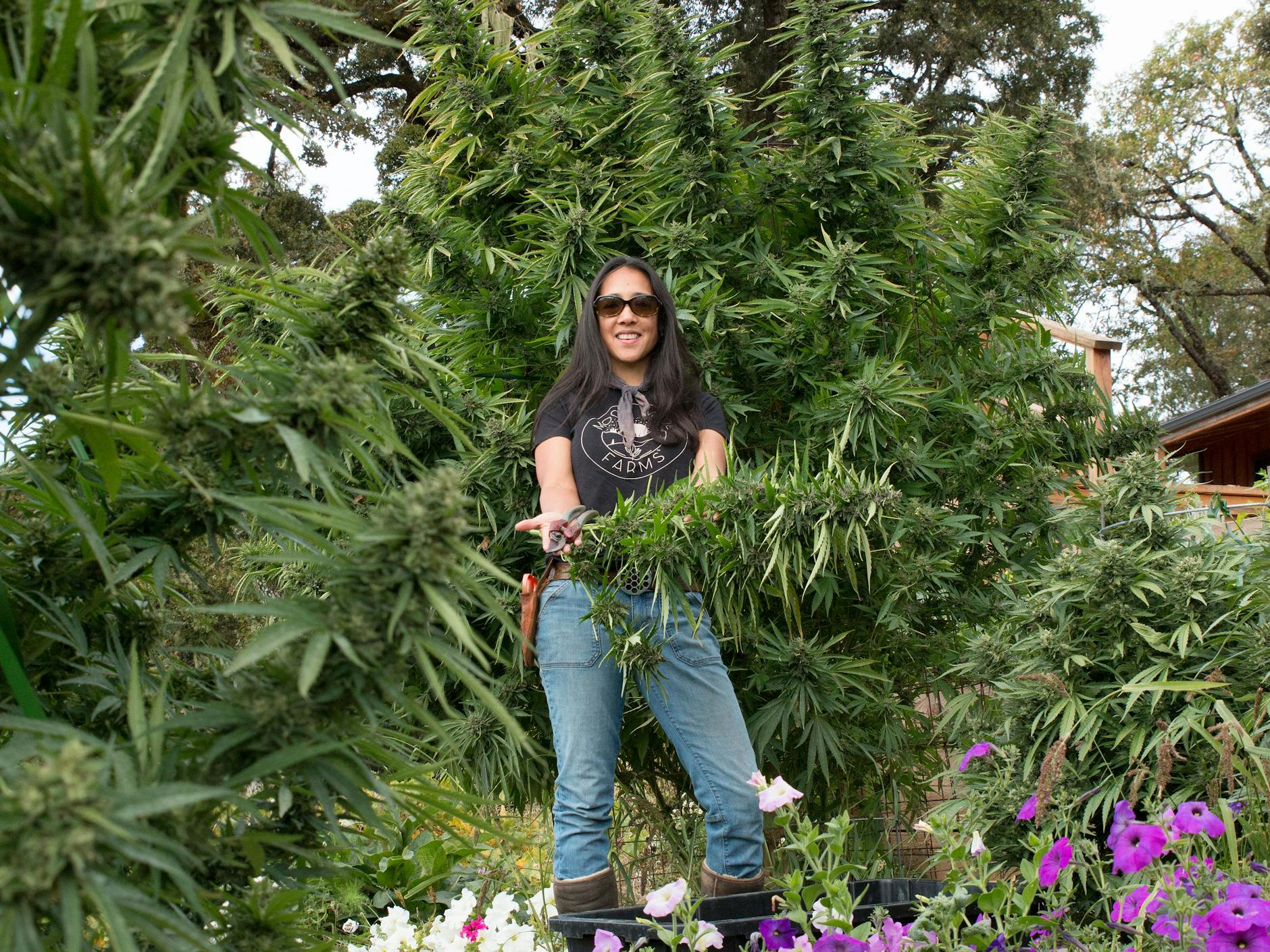 Tina Gordon auf der Moon Made Farm in Humboldt County.<br>