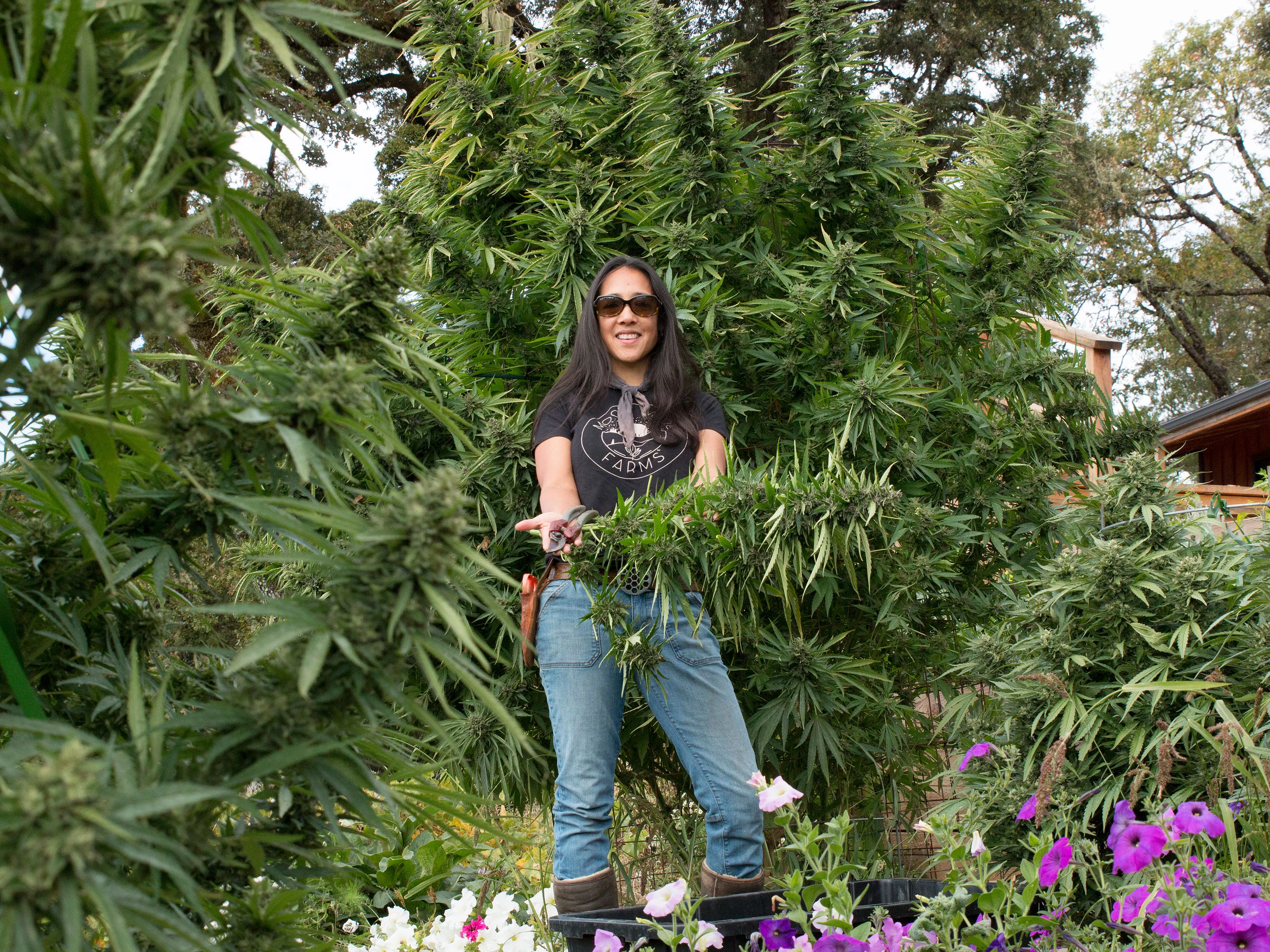 Tina Gordon auf der Moon Made Farm in Humboldt County.<br>