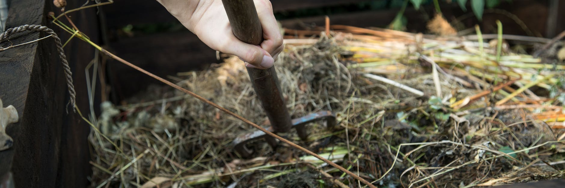 Im Komposthaufen verrotten Pflanzenreste und werden zu wertvollem Dünger. Aber nicht alle Pflanzenreste sind auch geeignet. 